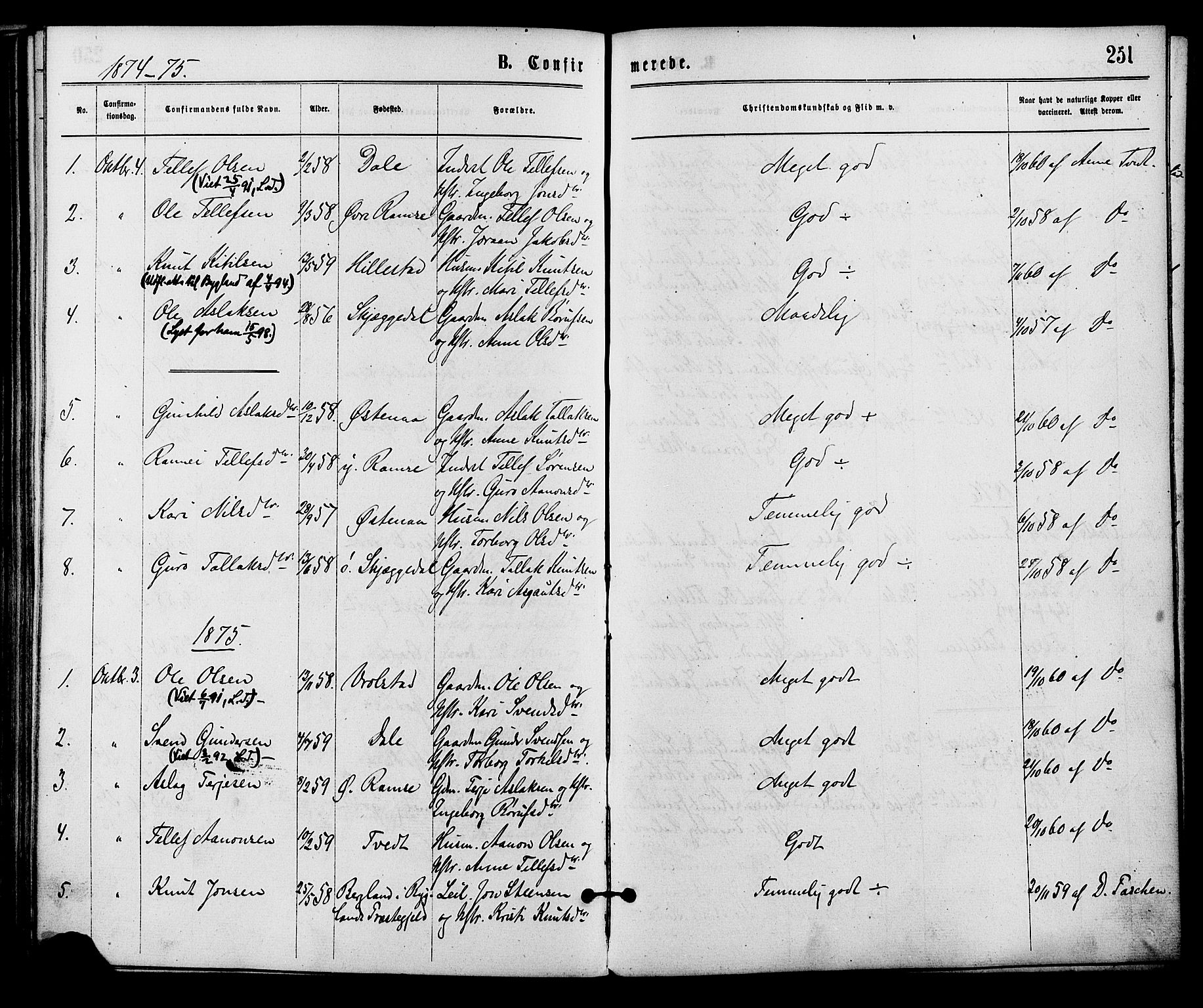 Åmli sokneprestkontor, SAK/1111-0050/F/Fa/Fac/L0009: Parish register (official) no. A 9 /3, 1869-1884, p. 251