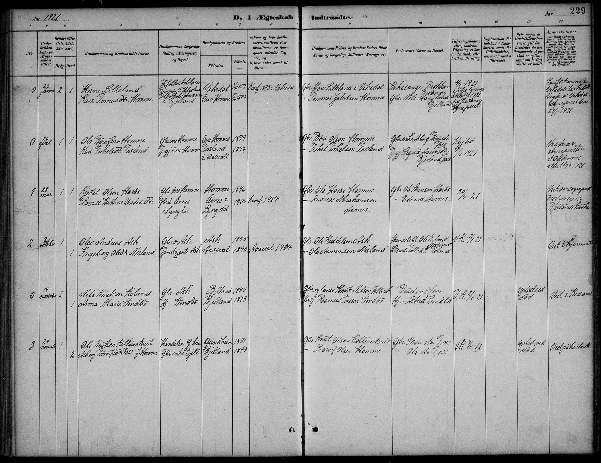 Bjelland sokneprestkontor, SAK/1111-0005/F/Fb/Fba/L0005: Parish register (copy) no. B 5, 1887-1923, p. 229