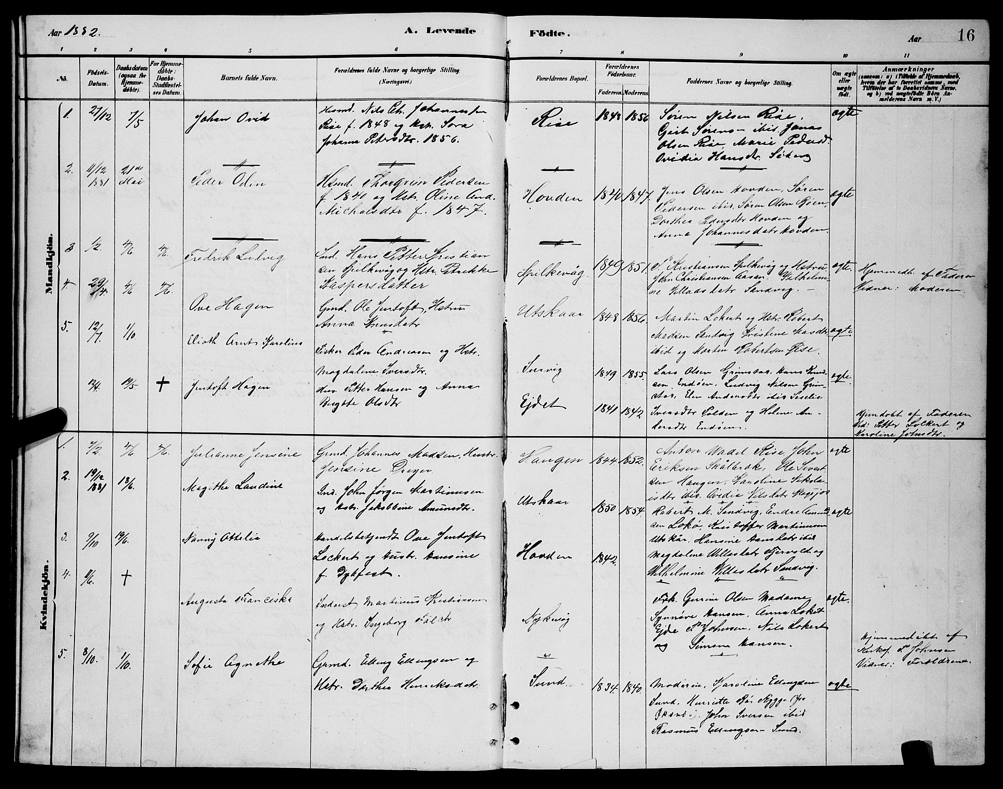 Ministerialprotokoller, klokkerbøker og fødselsregistre - Nordland, AV/SAT-A-1459/892/L1325: Parish register (copy) no. 892C02, 1878-1896, p. 16