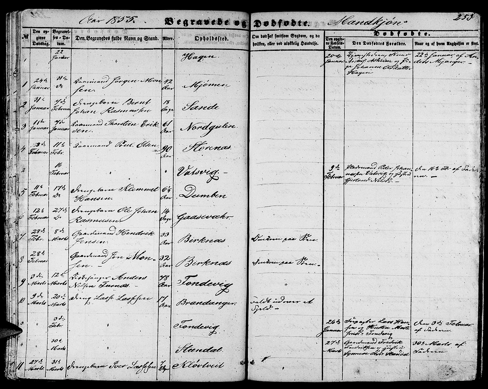 Gulen sokneprestembete, AV/SAB-A-80201/H/Hab/Habb/L0001: Parish register (copy) no. B 1, 1854-1866, p. 253