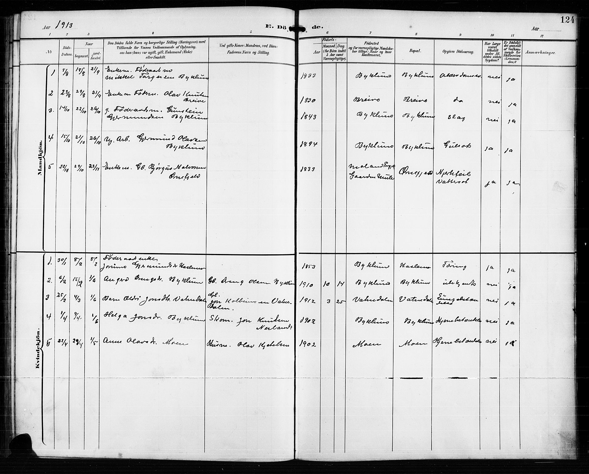 Valle sokneprestkontor, SAK/1111-0044/F/Fb/Fba/L0003: Parish register (copy) no. B 3, 1895-1916, p. 124