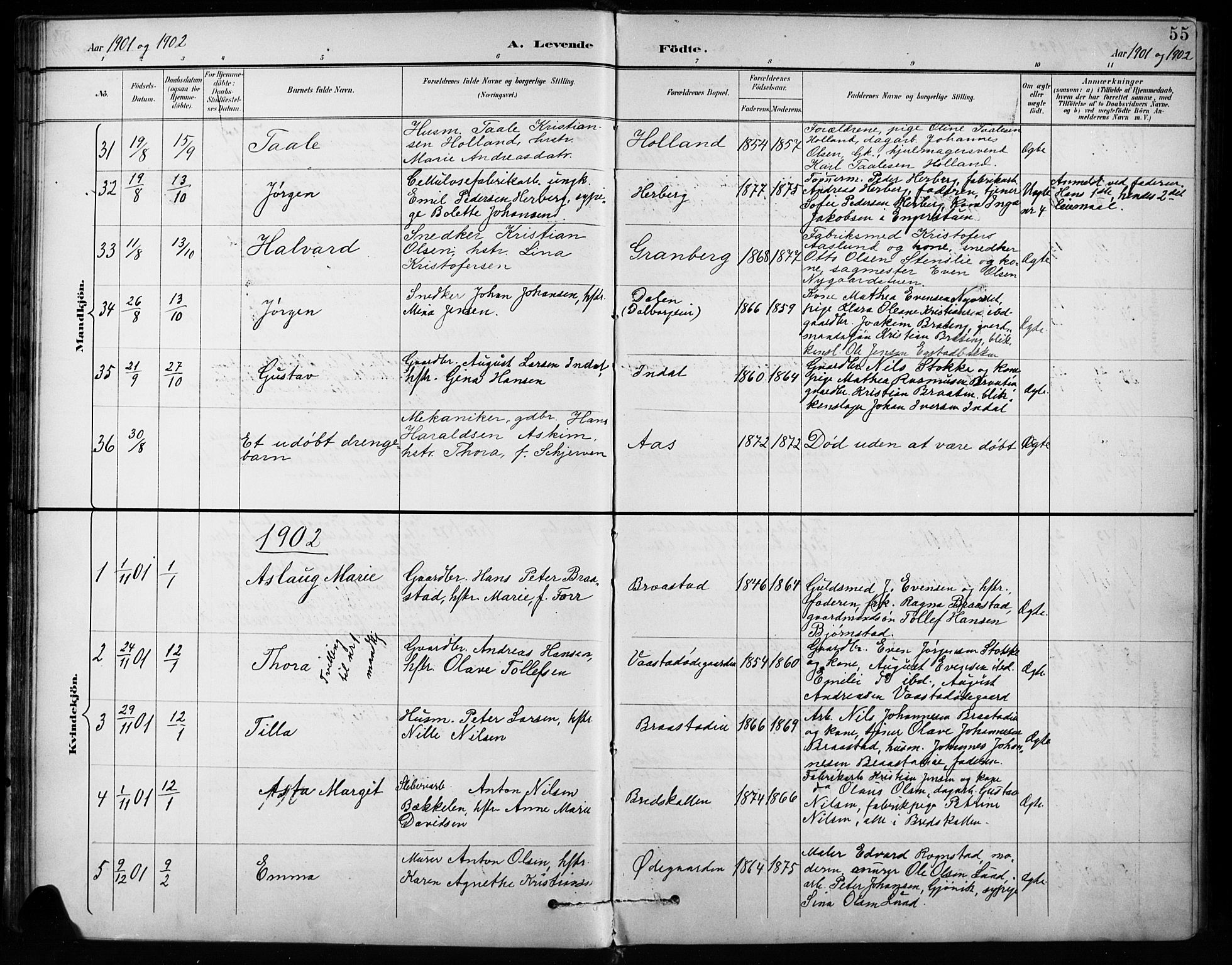 Vardal prestekontor, SAH/PREST-100/H/Ha/Hab/L0010: Parish register (copy) no. 10, 1895-1903, p. 55