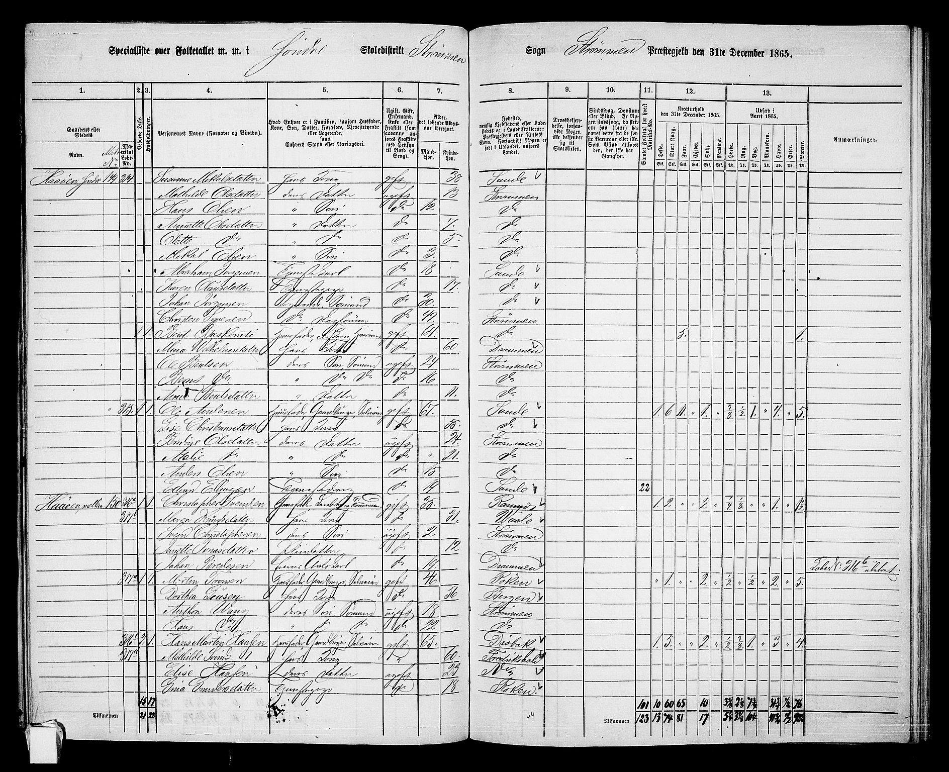 RA, 1865 census for Strømm, 1865, p. 8