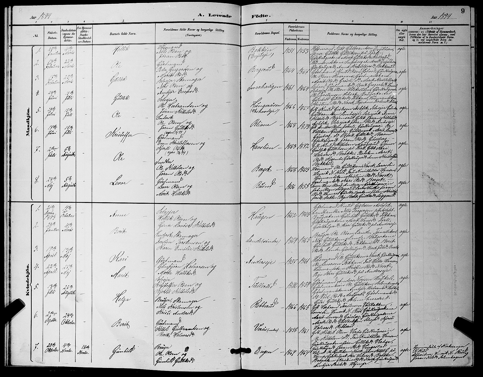 Flesberg kirkebøker, SAKO/A-18/G/Ga/L0004: Parish register (copy) no. I 4 /1, 1890-1898, p. 9