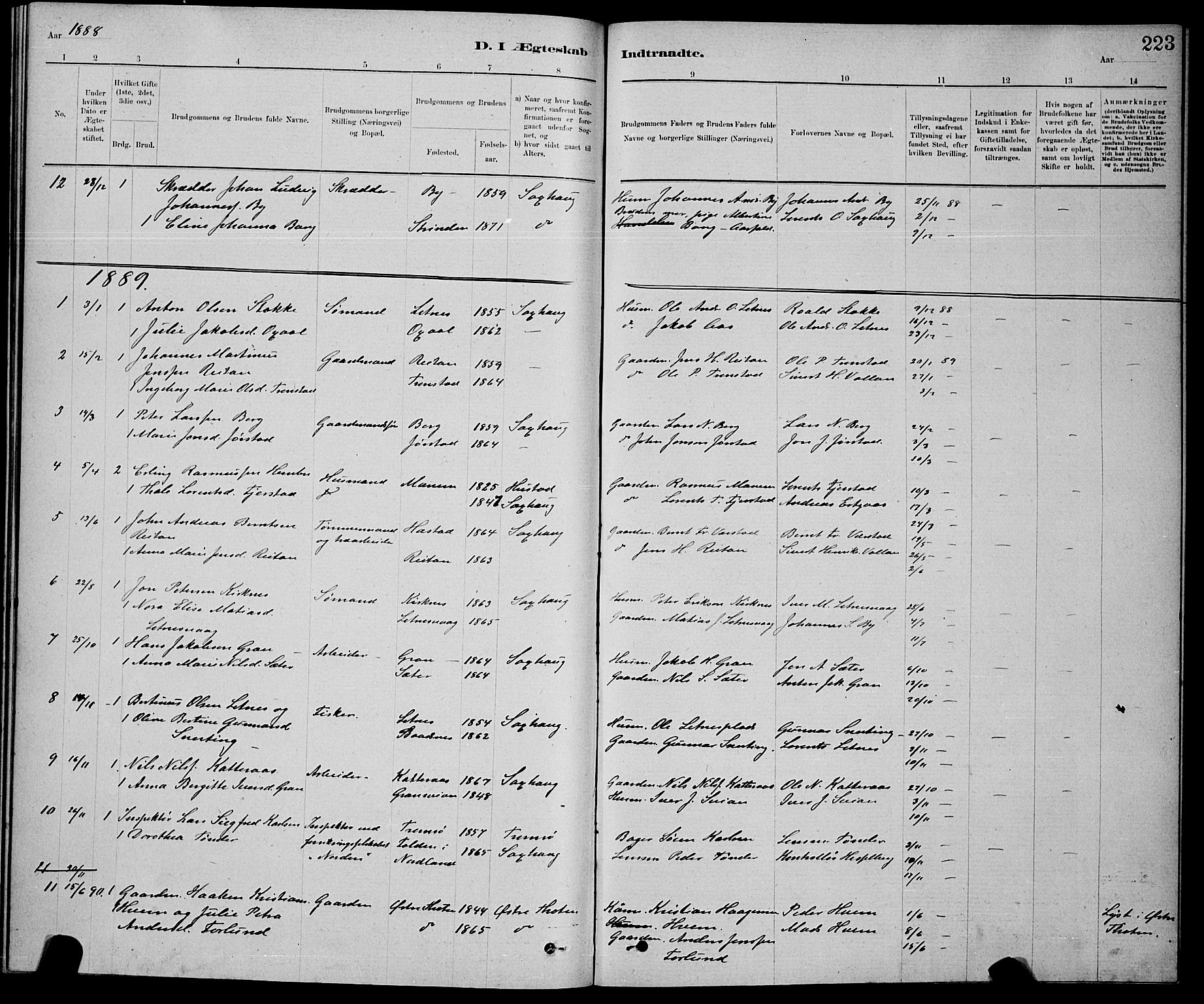 Ministerialprotokoller, klokkerbøker og fødselsregistre - Nord-Trøndelag, AV/SAT-A-1458/730/L0301: Parish register (copy) no. 730C04, 1880-1897, p. 223