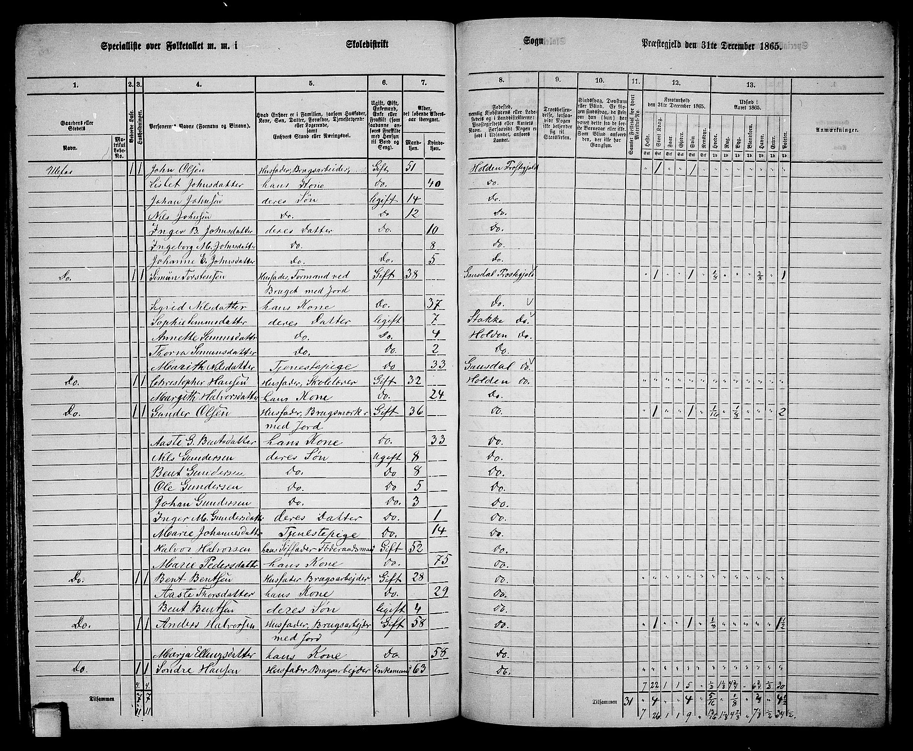 RA, 1865 census for Holla, 1865, p. 134