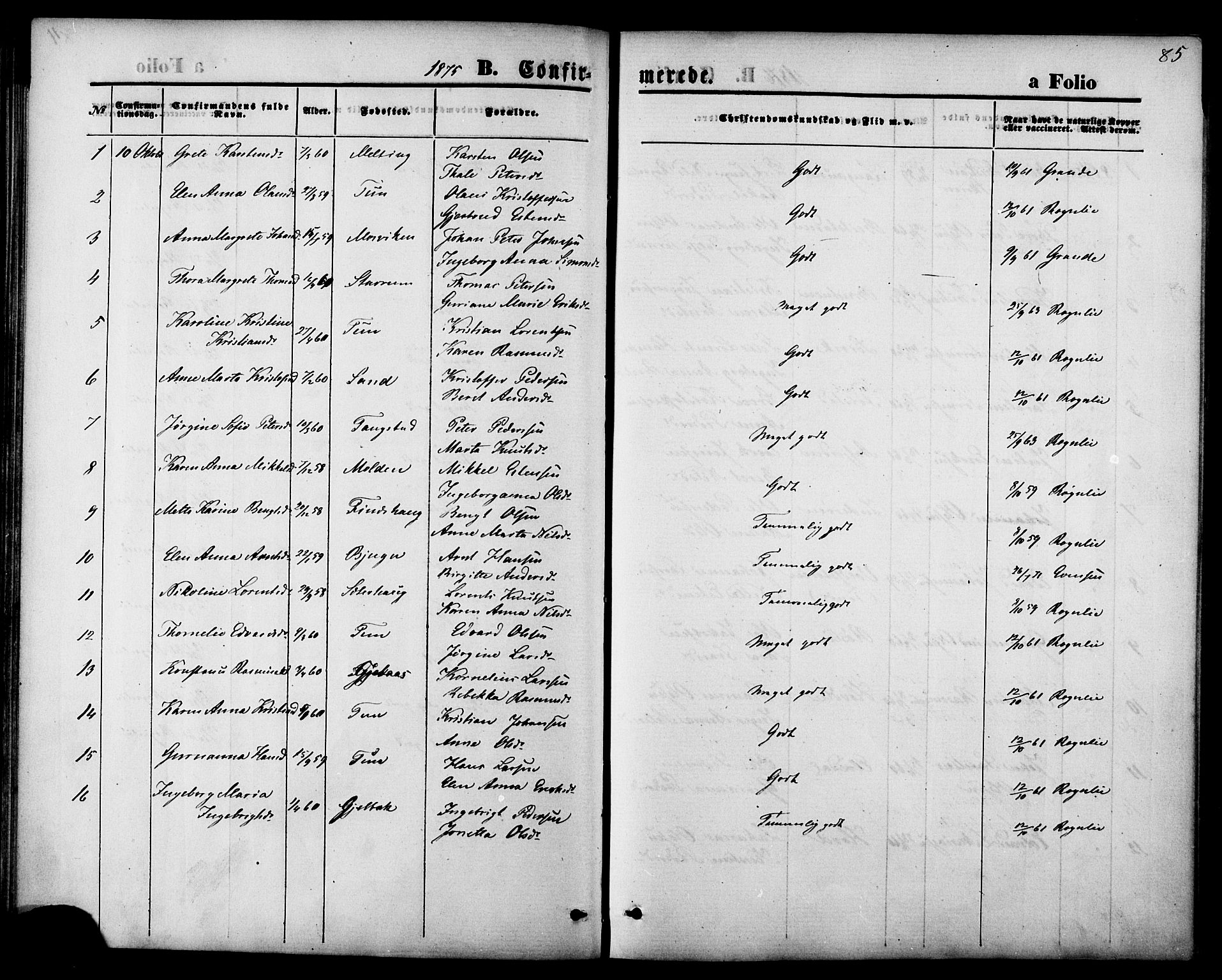 Ministerialprotokoller, klokkerbøker og fødselsregistre - Nord-Trøndelag, SAT/A-1458/744/L0419: Parish register (official) no. 744A03, 1867-1881, p. 85