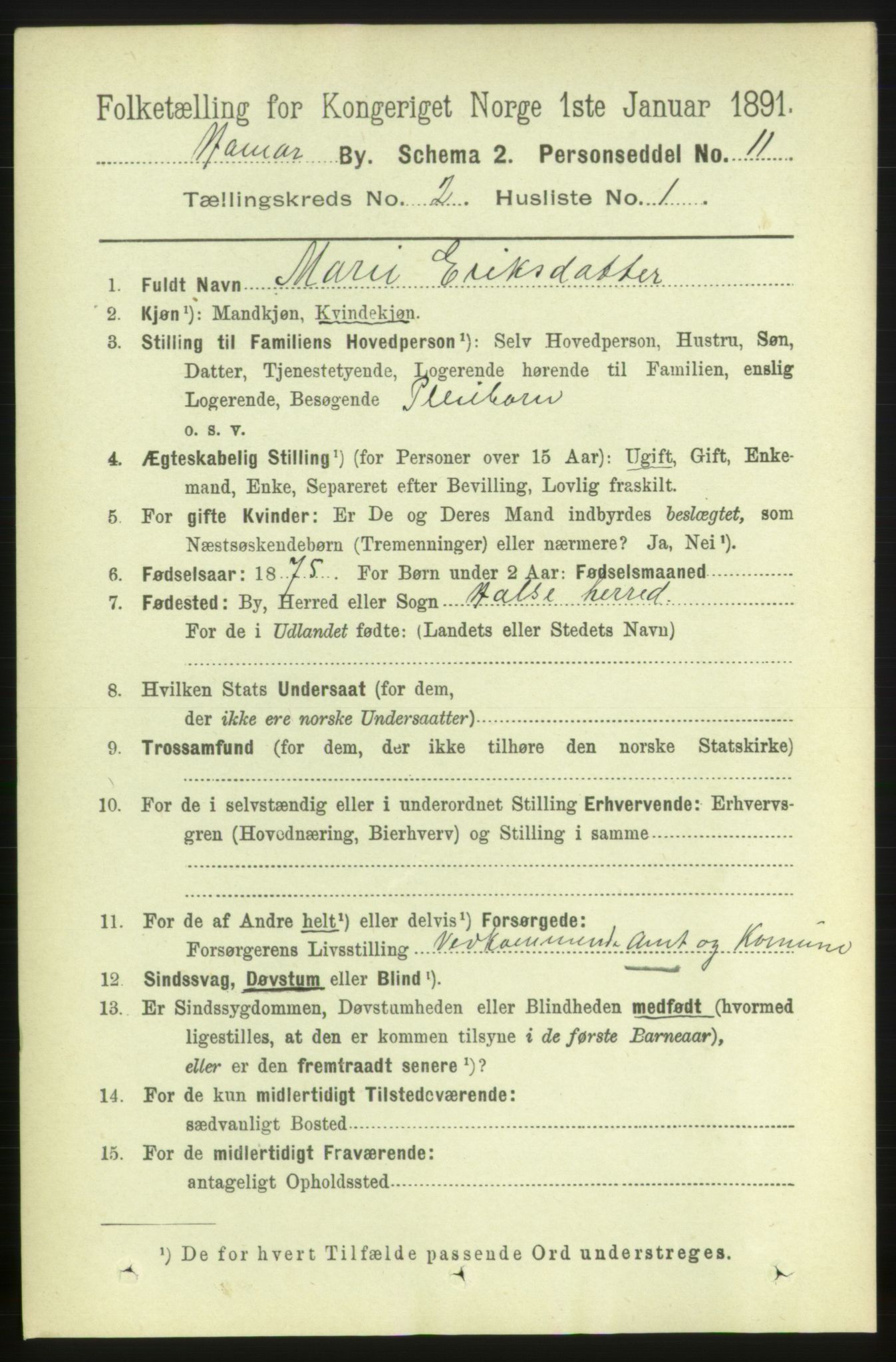 RA, 1891 census for 0401 Hamar, 1891, p. 976