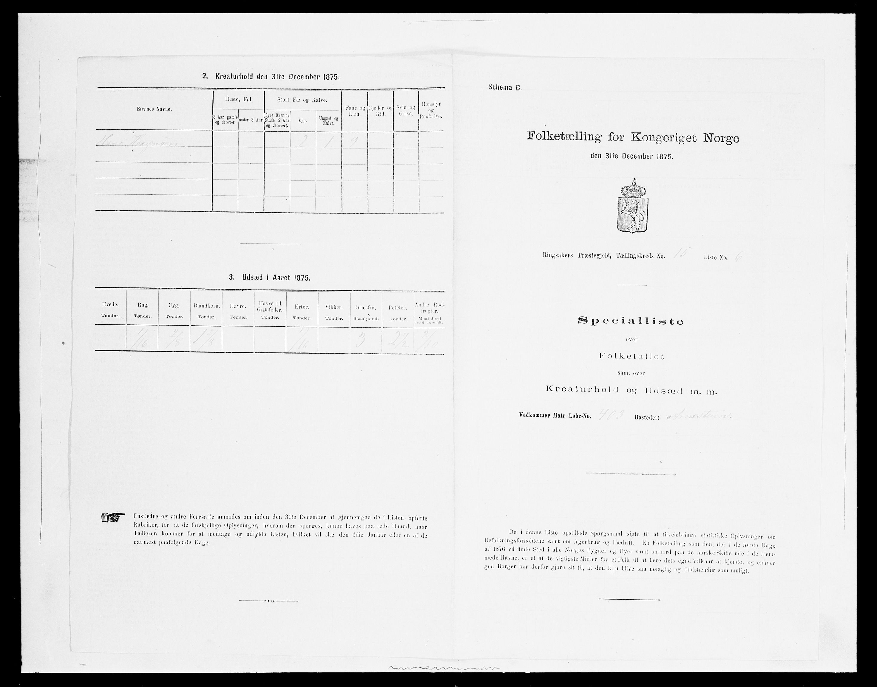 SAH, 1875 census for 0412P Ringsaker, 1875, p. 3152