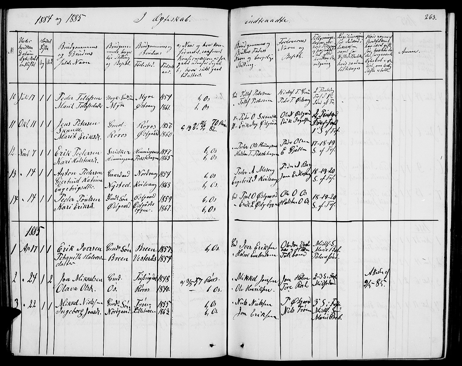 Tolga prestekontor, SAH/PREST-062/L/L0004: Parish register (copy) no. 4, 1845-1887, p. 263