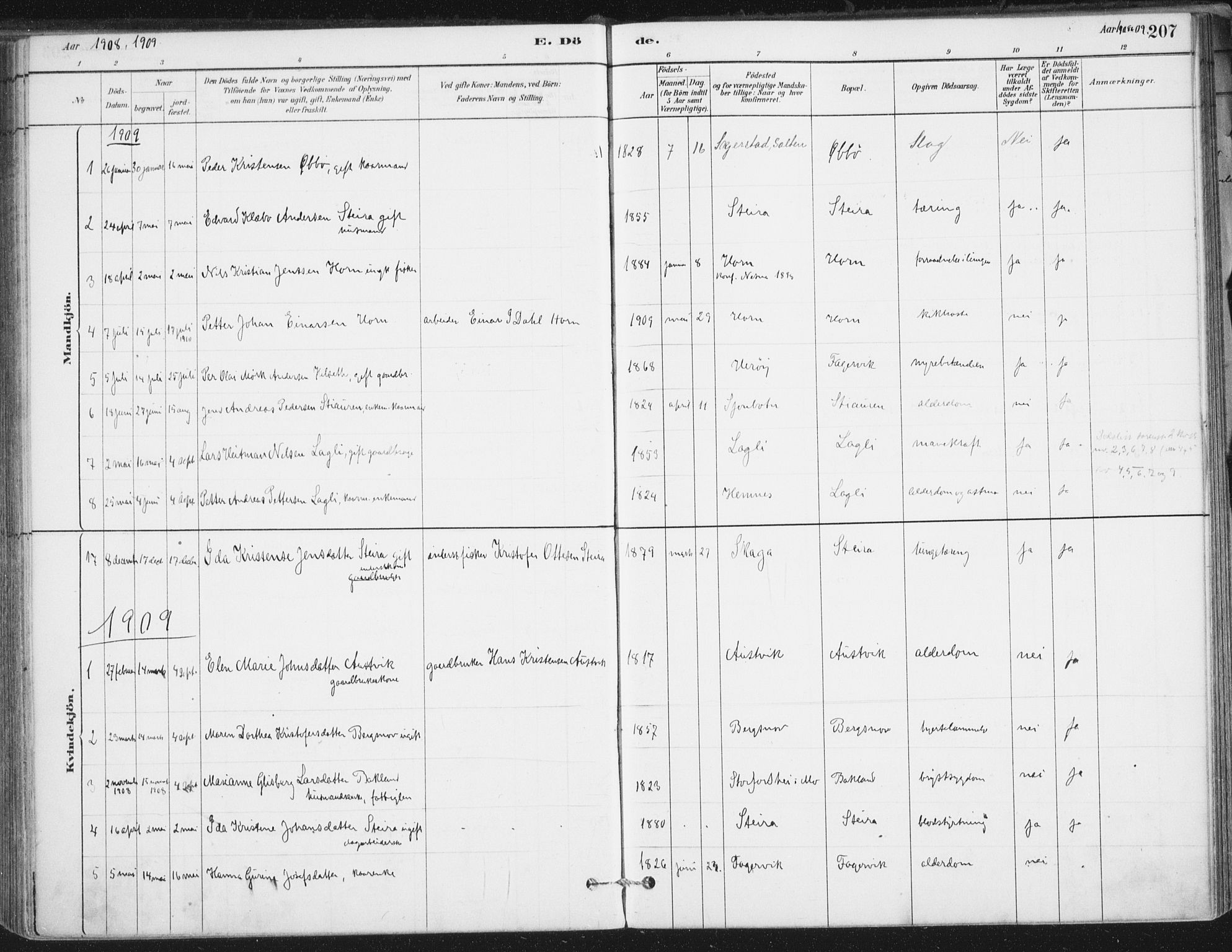 Ministerialprotokoller, klokkerbøker og fødselsregistre - Nordland, AV/SAT-A-1459/838/L0553: Parish register (official) no. 838A11, 1880-1910, p. 207