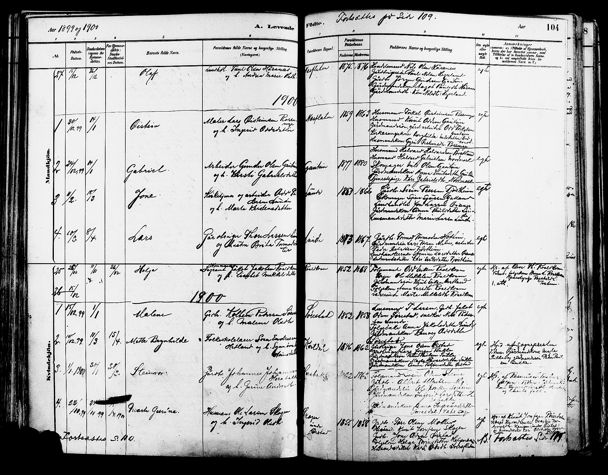 Suldal sokneprestkontor, SAST/A-101845/01/IV/L0011: Parish register (official) no. A 11, 1878-1900, p. 104