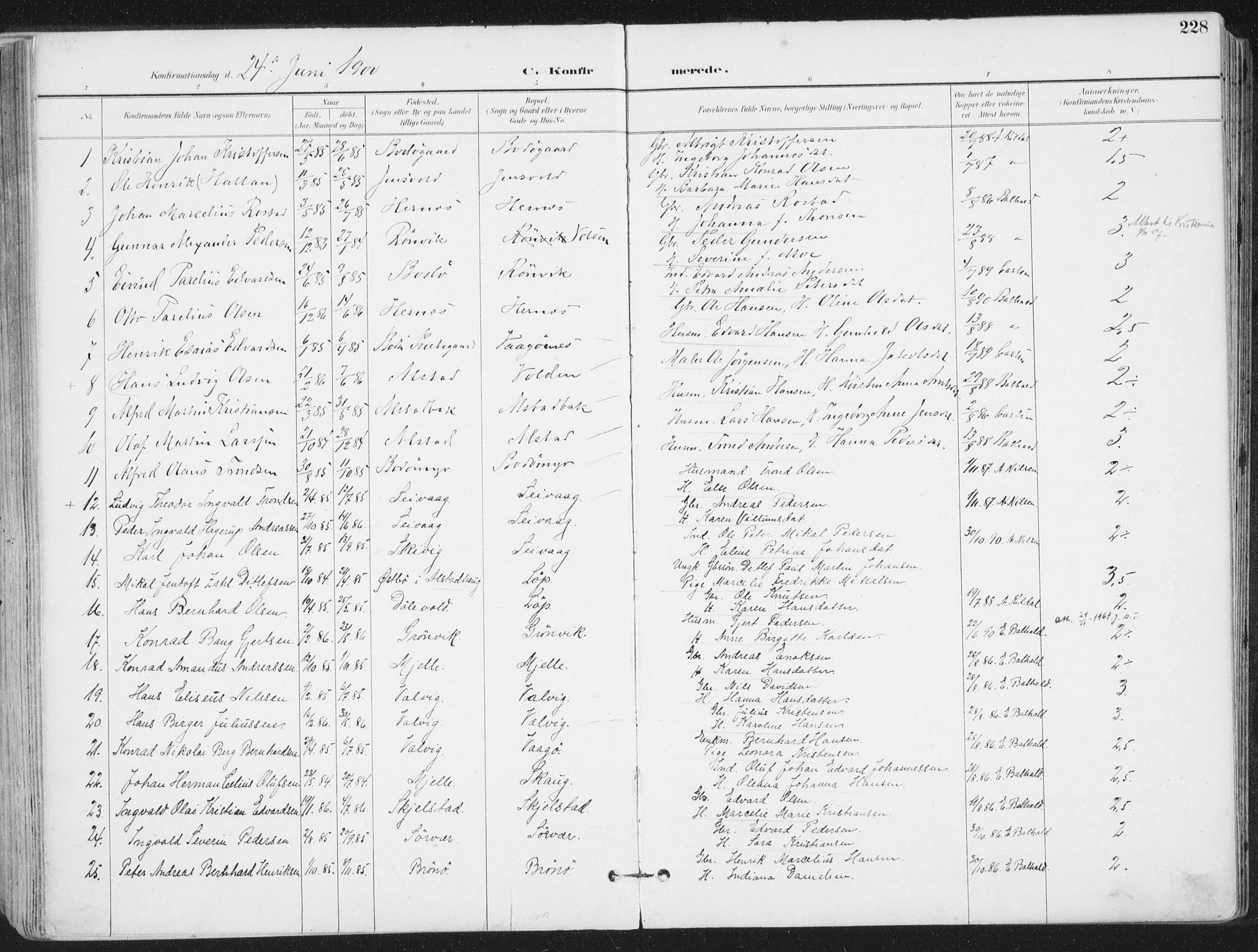 Ministerialprotokoller, klokkerbøker og fødselsregistre - Nordland, SAT/A-1459/802/L0055: Parish register (official) no. 802A02, 1894-1915, p. 228