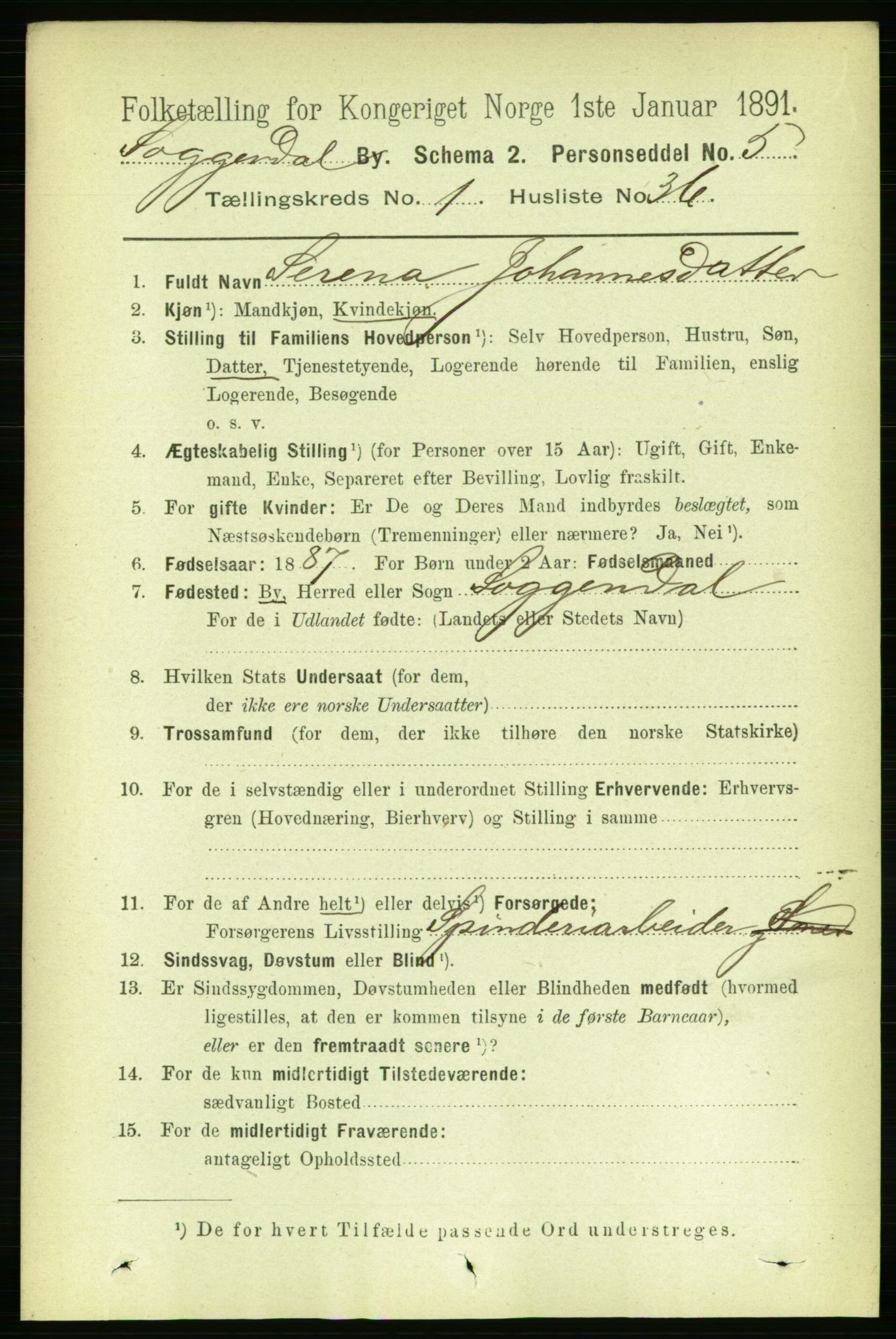 RA, 1891 census for 1107 Sokndal, 1891, p. 206