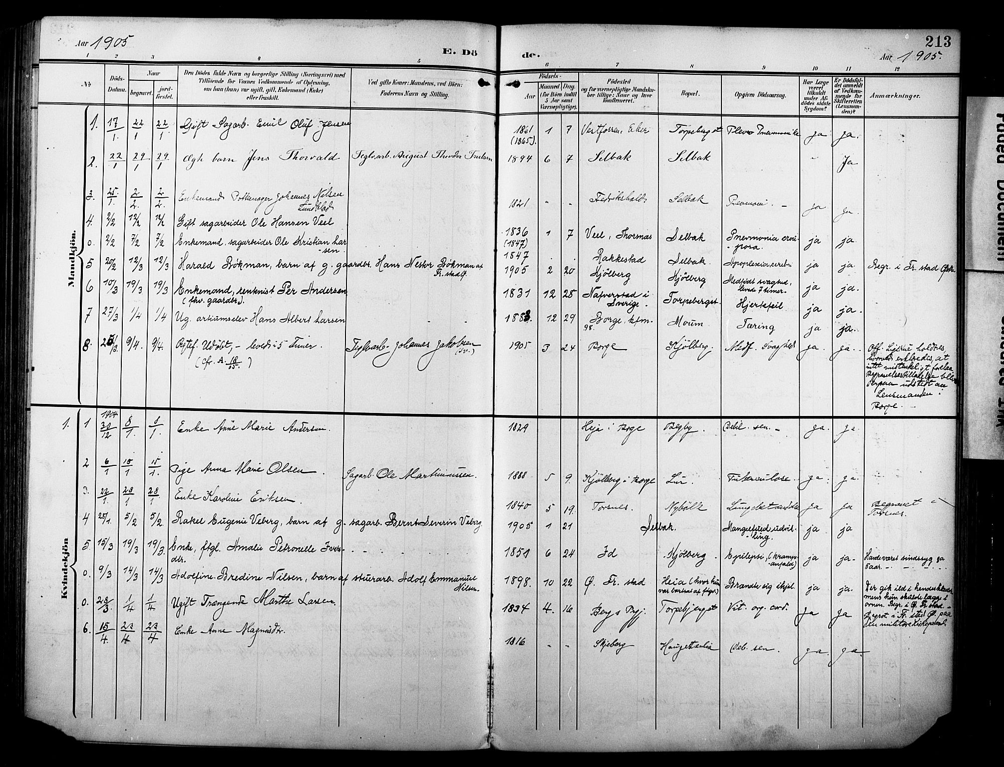 Borge prestekontor Kirkebøker, SAO/A-10903/F/Fa/L0009: Parish register (official) no. I 9, 1902-1911, p. 213