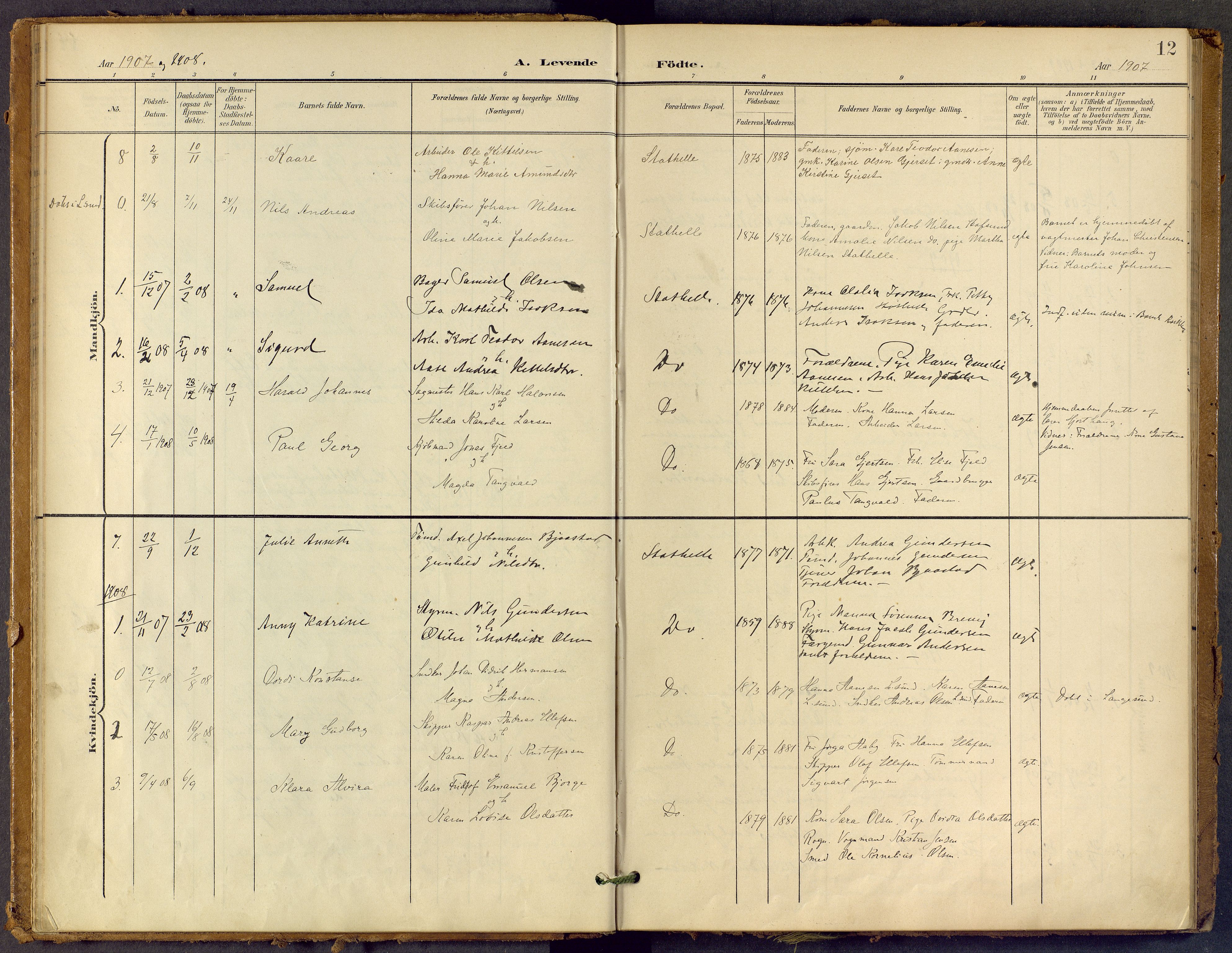 Bamble kirkebøker, SAKO/A-253/F/Fb/L0002: Parish register (official) no. II 2, 1900-1921, p. 12