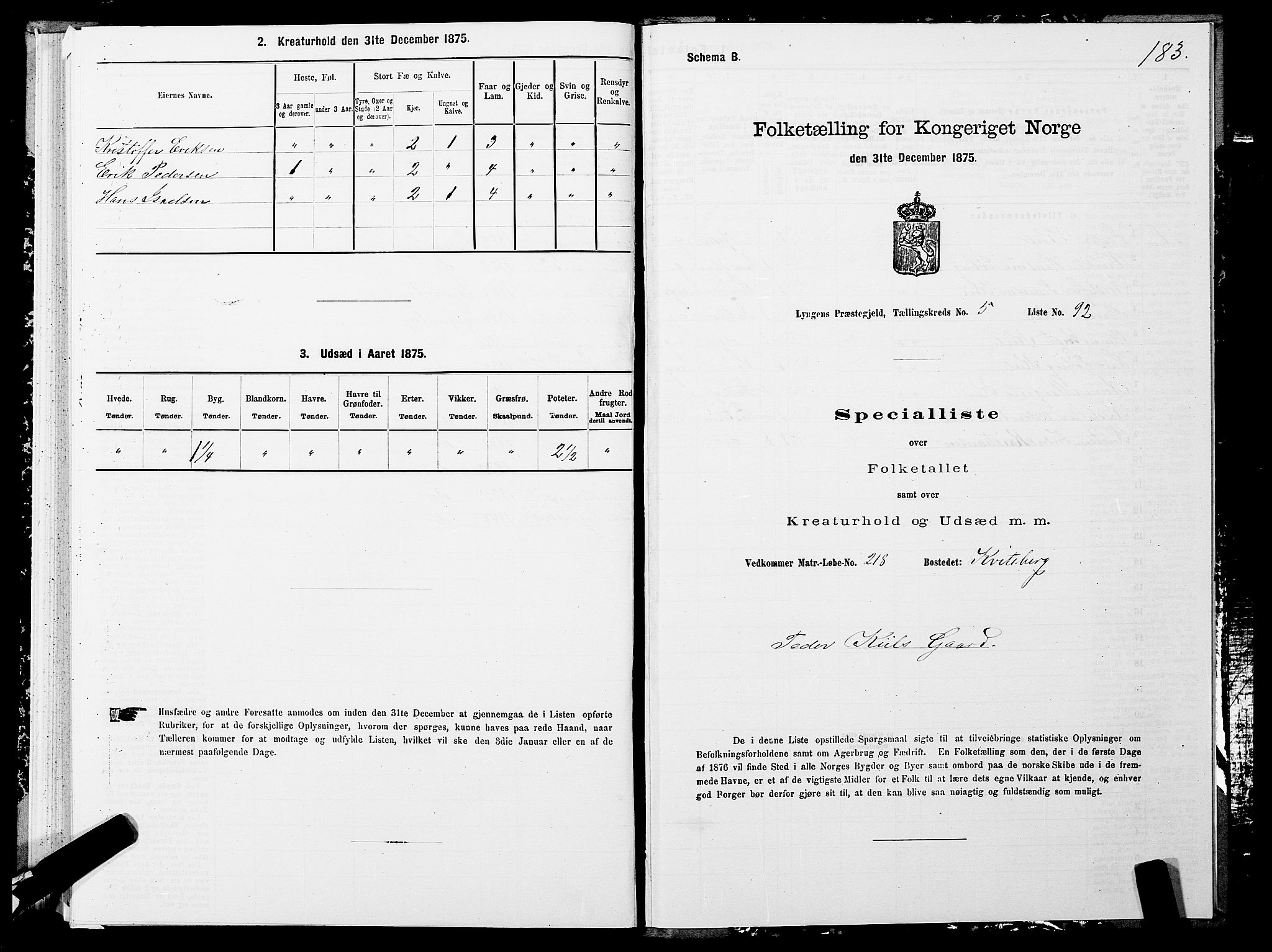 SATØ, 1875 census for 1938P Lyngen, 1875, p. 5183