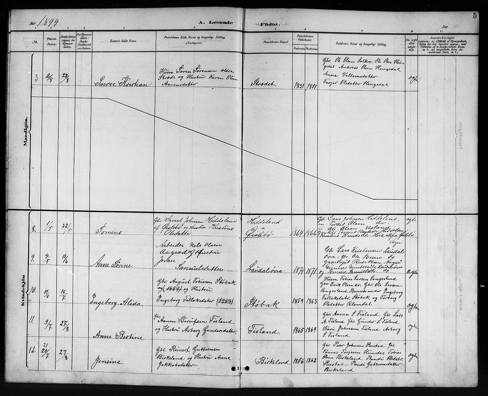 Holum sokneprestkontor, AV/SAK-1111-0022/F/Fb/Fbb/L0004: Parish register (copy) no. B 4, 1899-1920, p. 5