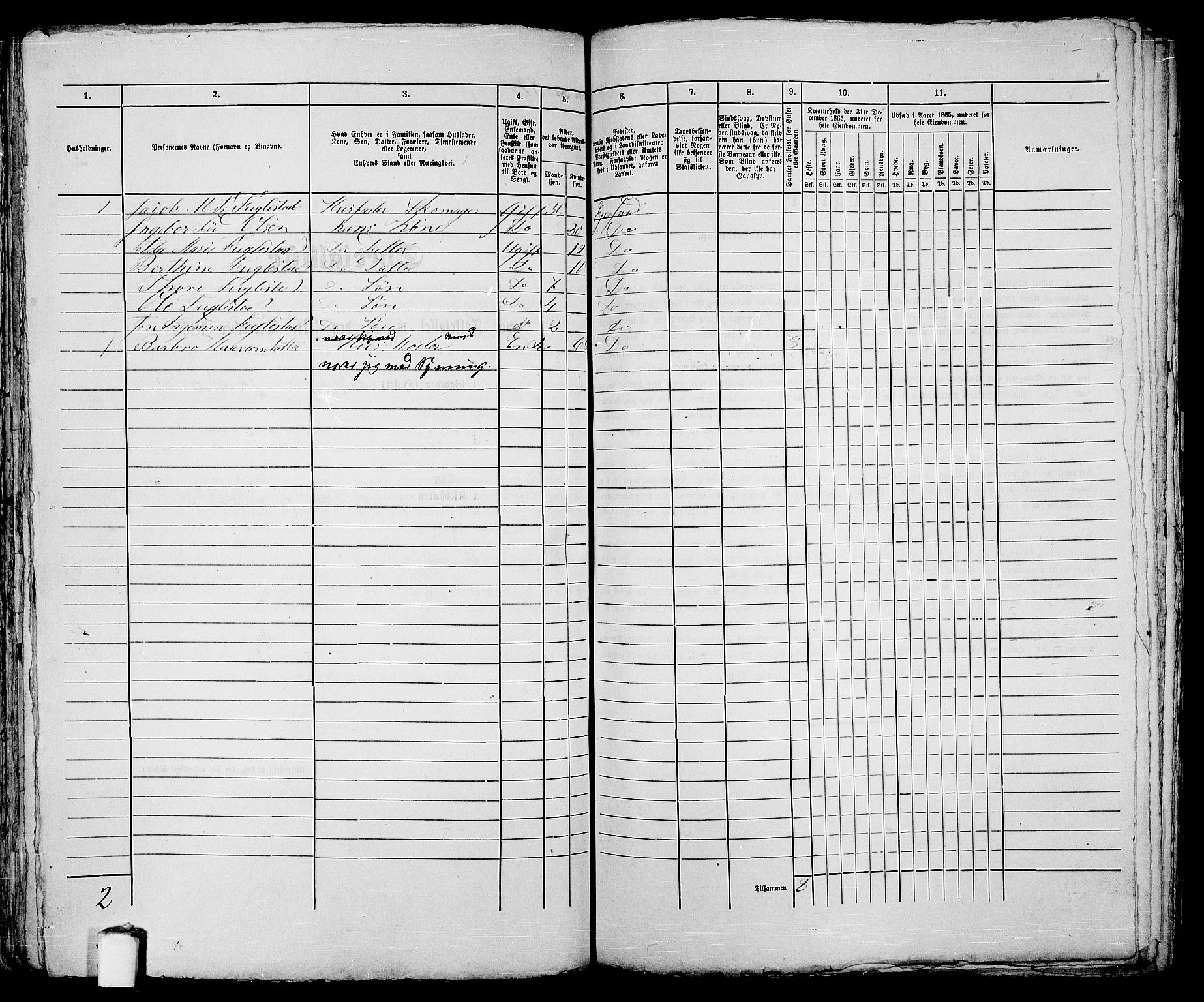 RA, 1865 census for Eigersund parish, Egersund town, 1865, p. 174