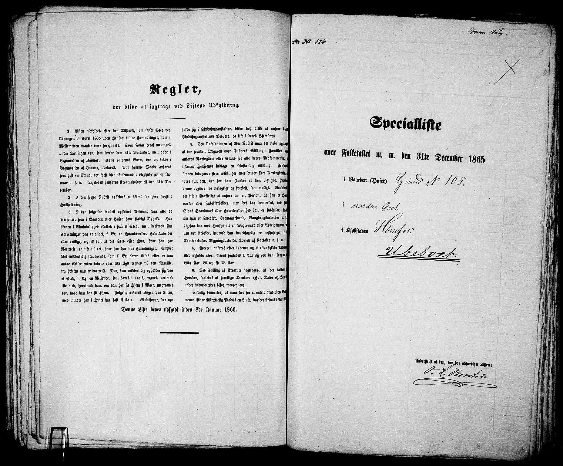 RA, 1865 census for Norderhov/Hønefoss, 1865, p. 243