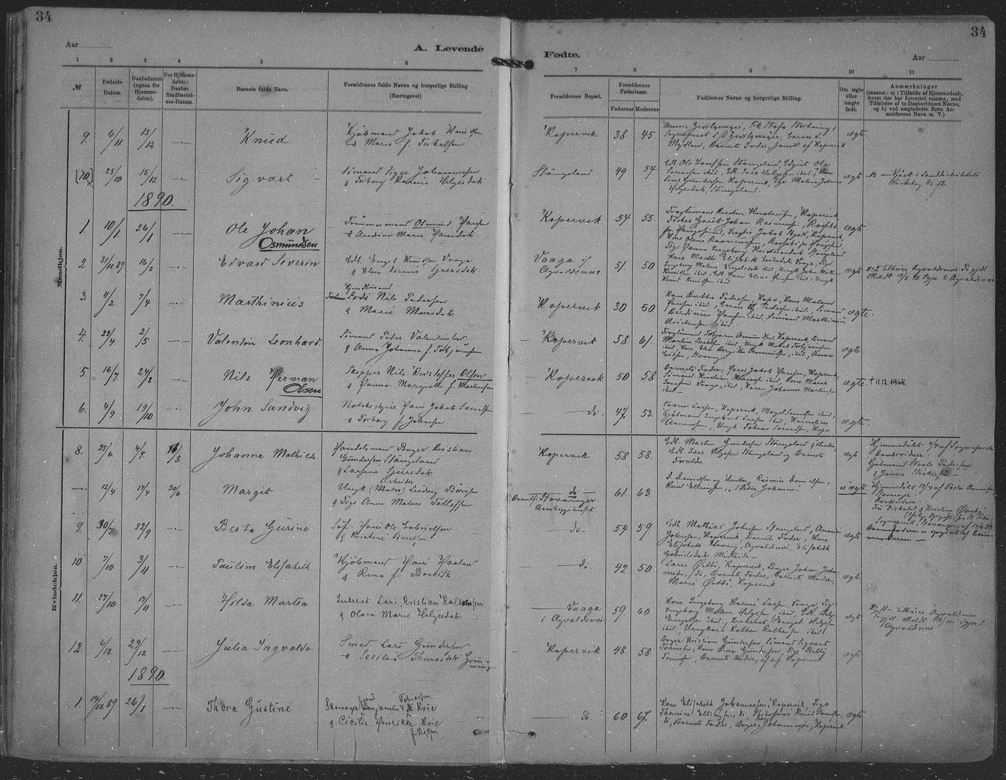 Kopervik sokneprestkontor, SAST/A-101850/H/Ha/Haa/L0001: Parish register (official) no. A 1, 1880-1919, p. 34