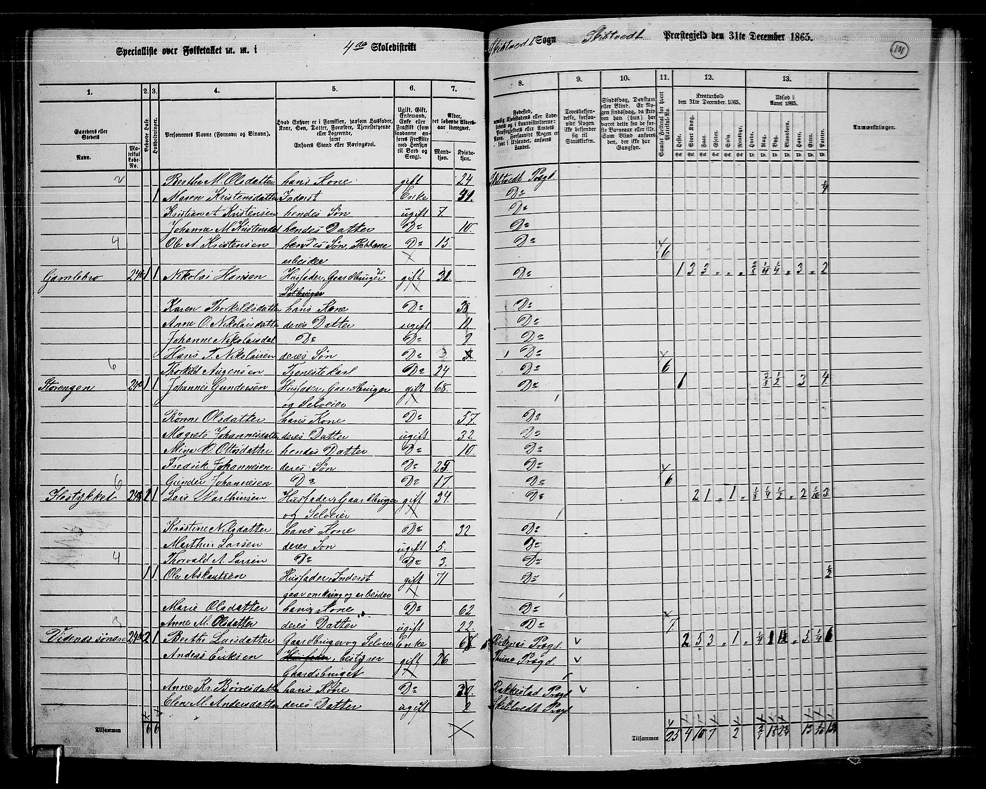 RA, 1865 census for Skiptvet, 1865, p. 91