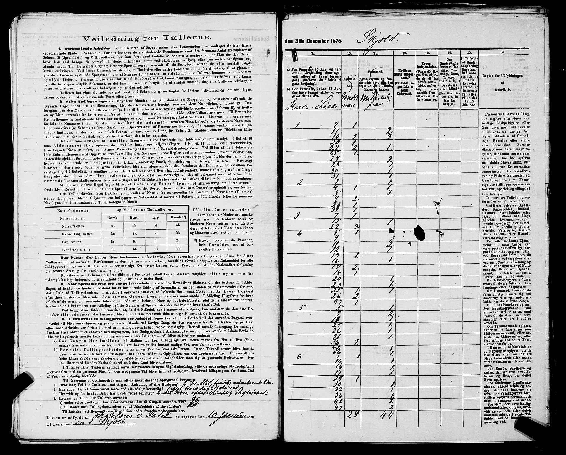 SAST, 1875 census for 1154P Skjold, 1875, p. 31