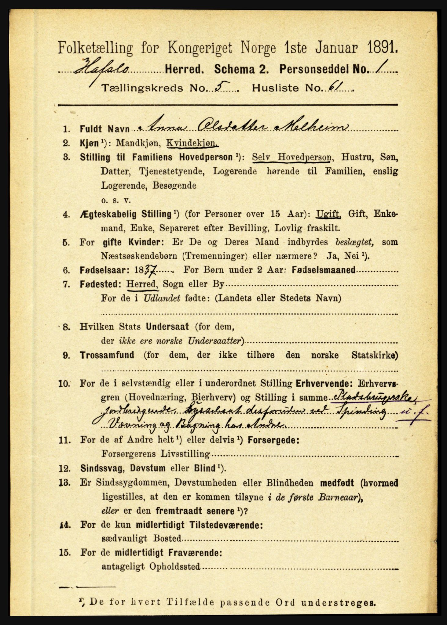 RA, 1891 census for 1425 Hafslo, 1891, p. 2267