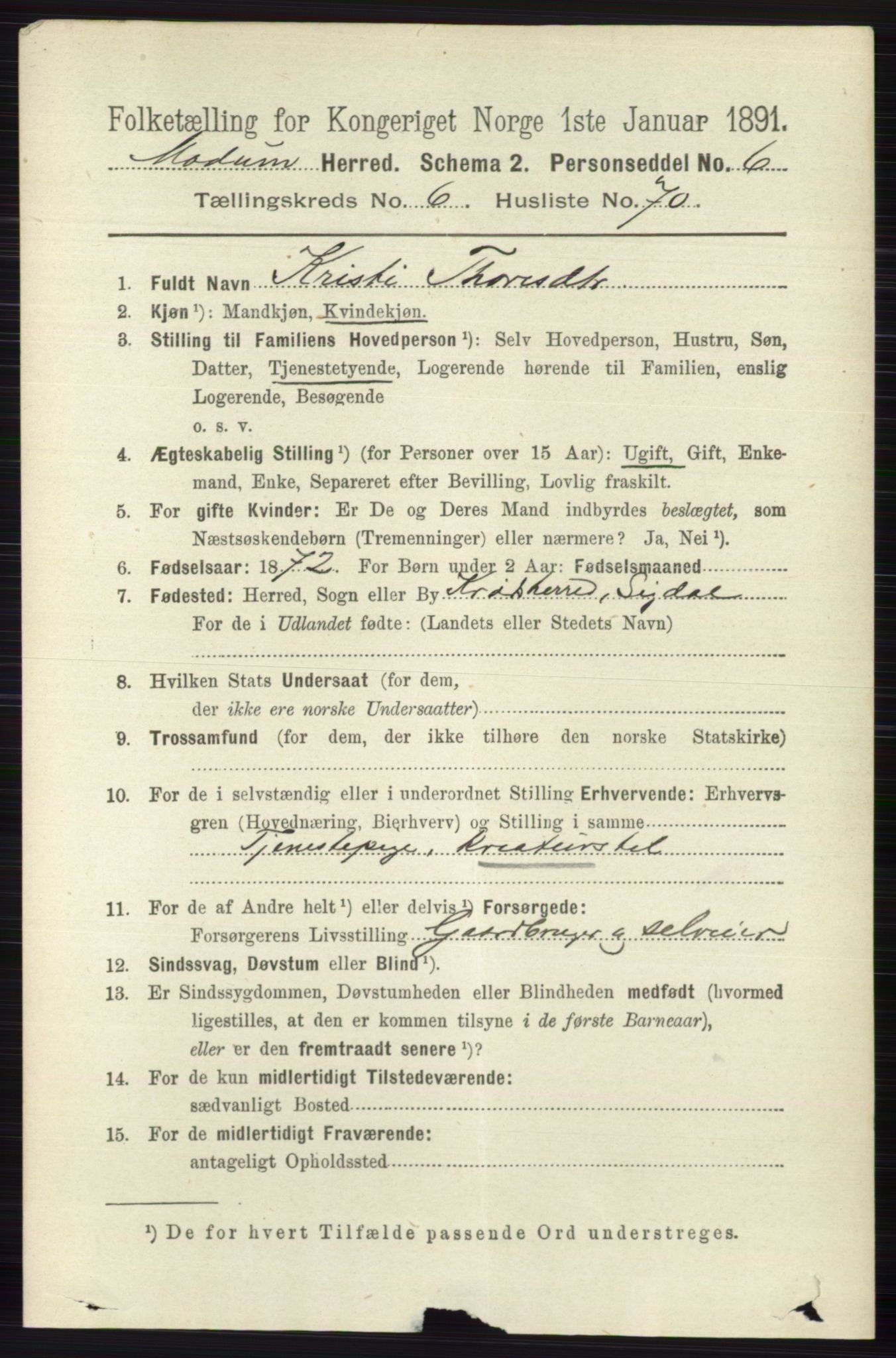 RA, 1891 census for 0623 Modum, 1891, p. 2713