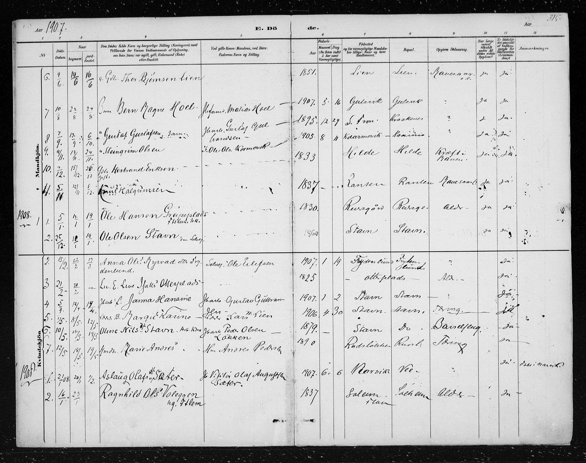 Nes kirkebøker, SAKO/A-236/F/Fa/L0012: Parish register (official) no. 12, 1881-1917, p. 315