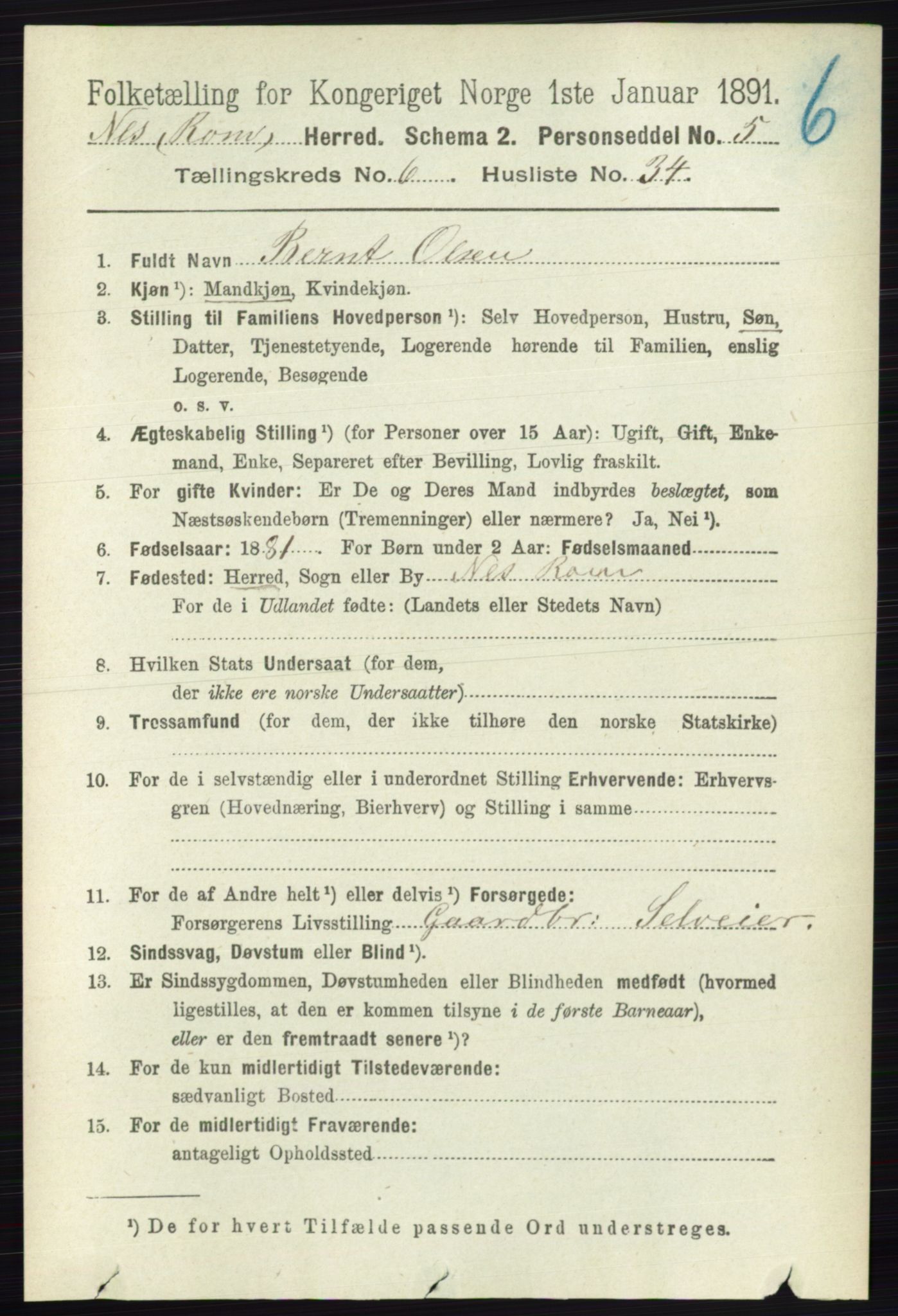 RA, 1891 census for 0236 Nes, 1891, p. 3598