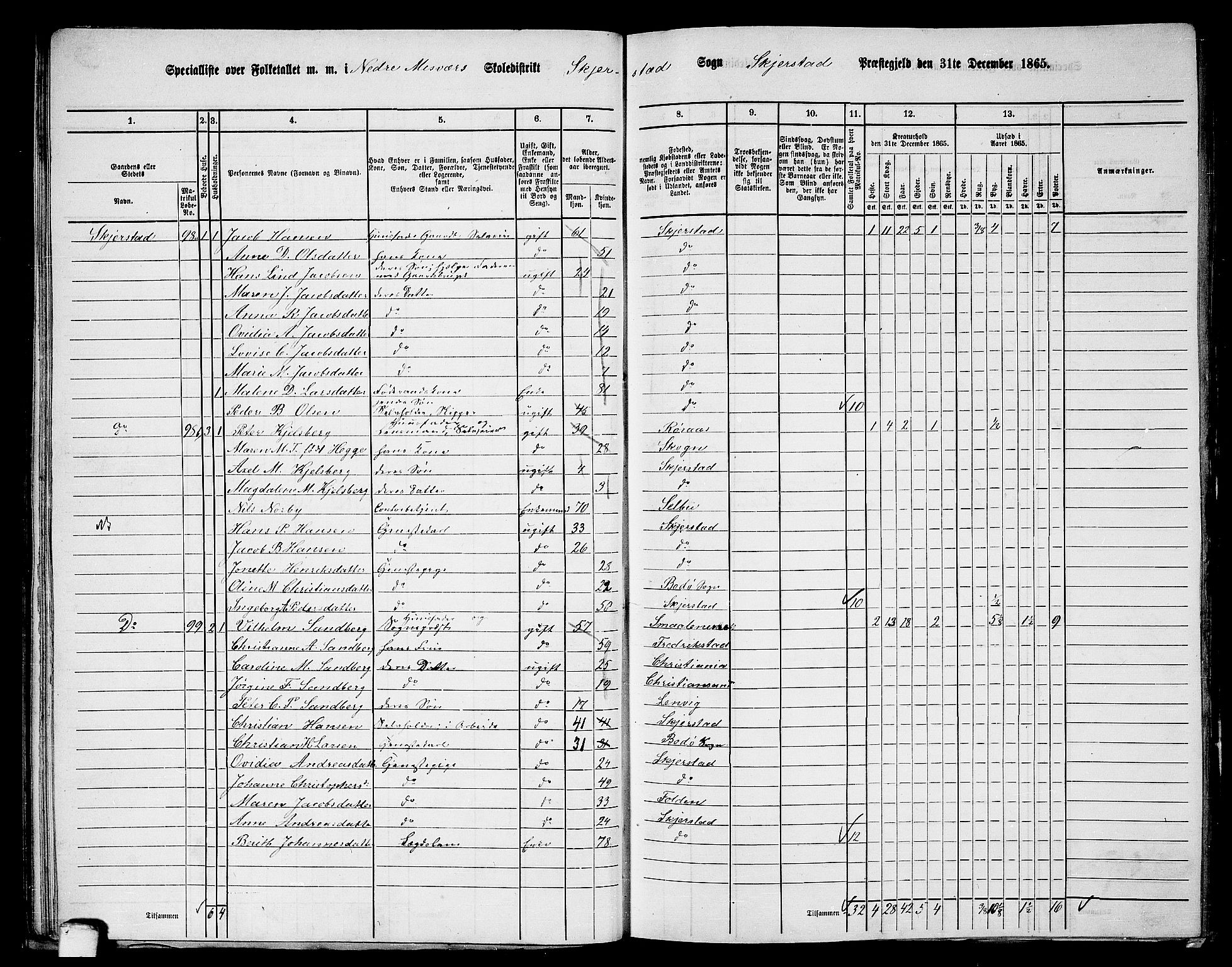 RA, 1865 census for Skjerstad, 1865, p. 51