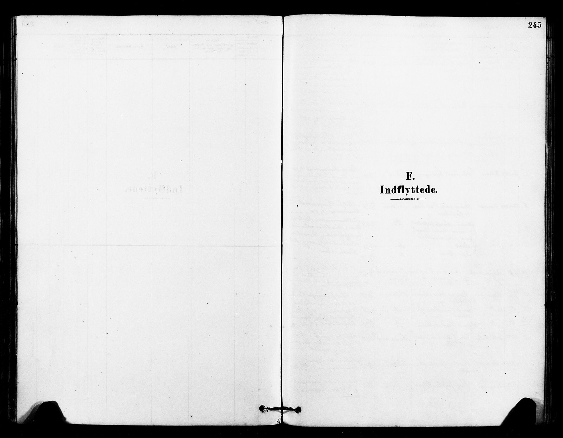 Ministerialprotokoller, klokkerbøker og fødselsregistre - Sør-Trøndelag, AV/SAT-A-1456/640/L0578: Parish register (official) no. 640A03, 1879-1889, p. 245