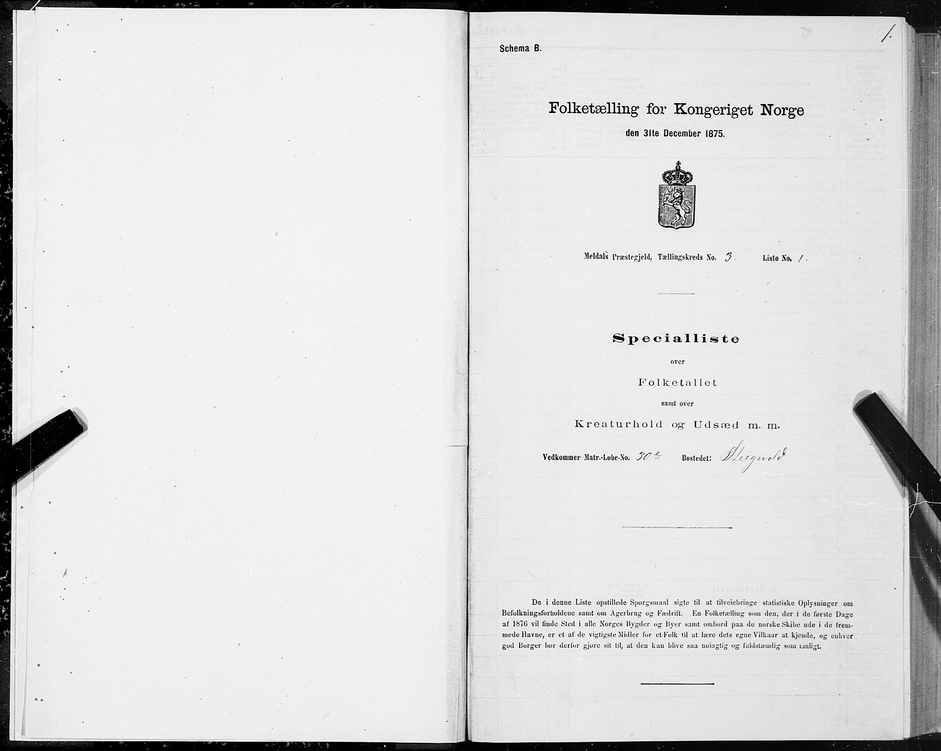 SAT, 1875 census for 1636P Meldal, 1875, p. 2001