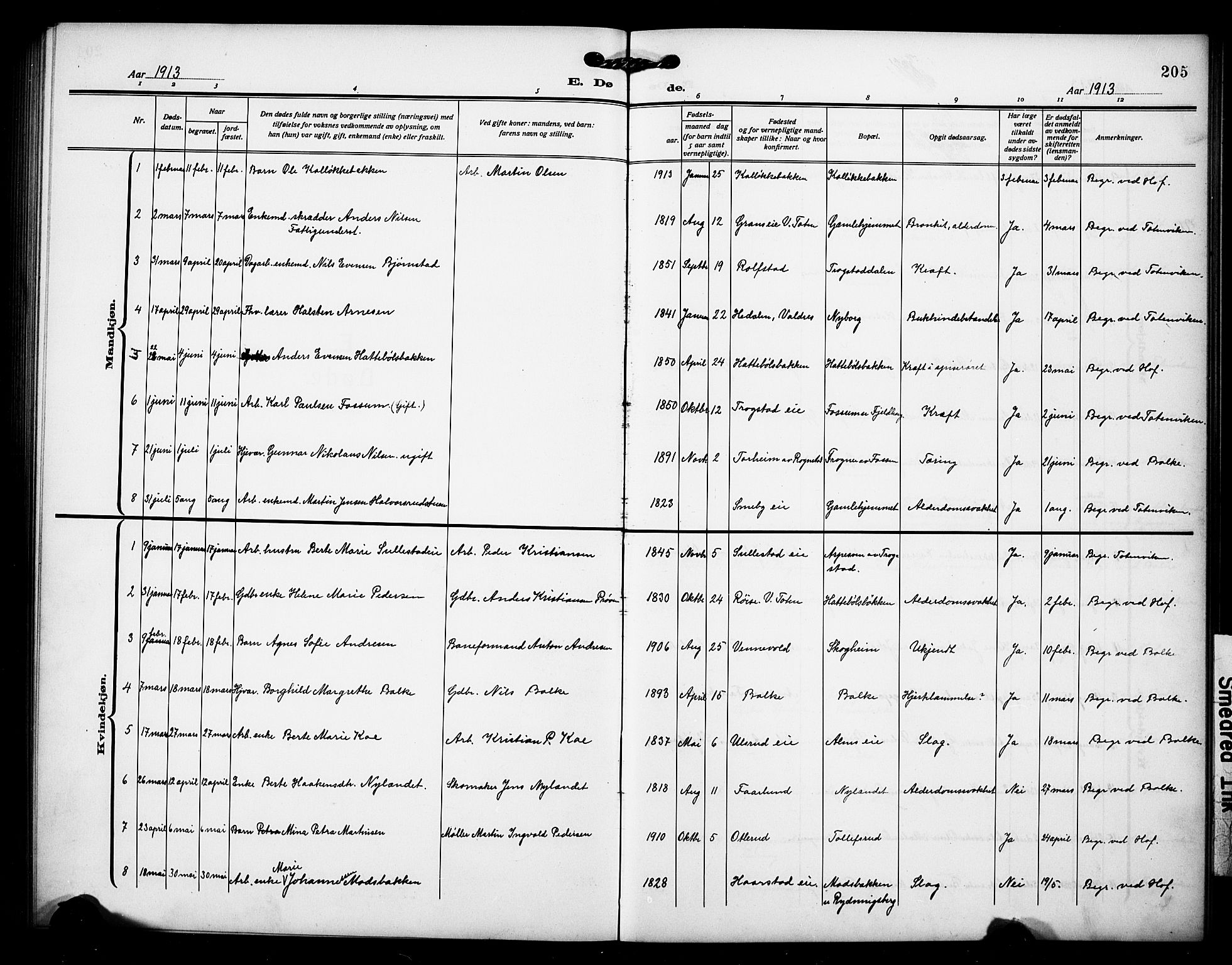 Østre Toten prestekontor, SAH/PREST-104/H/Ha/Hab/L0008: Parish register (copy) no. 8, 1913-1929, p. 205