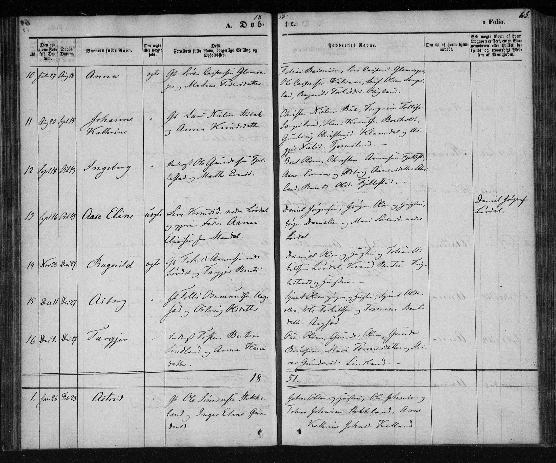 Holum sokneprestkontor, AV/SAK-1111-0022/F/Fa/Fab/L0005: Parish register (official) no. A 5, 1847-1874, p. 65