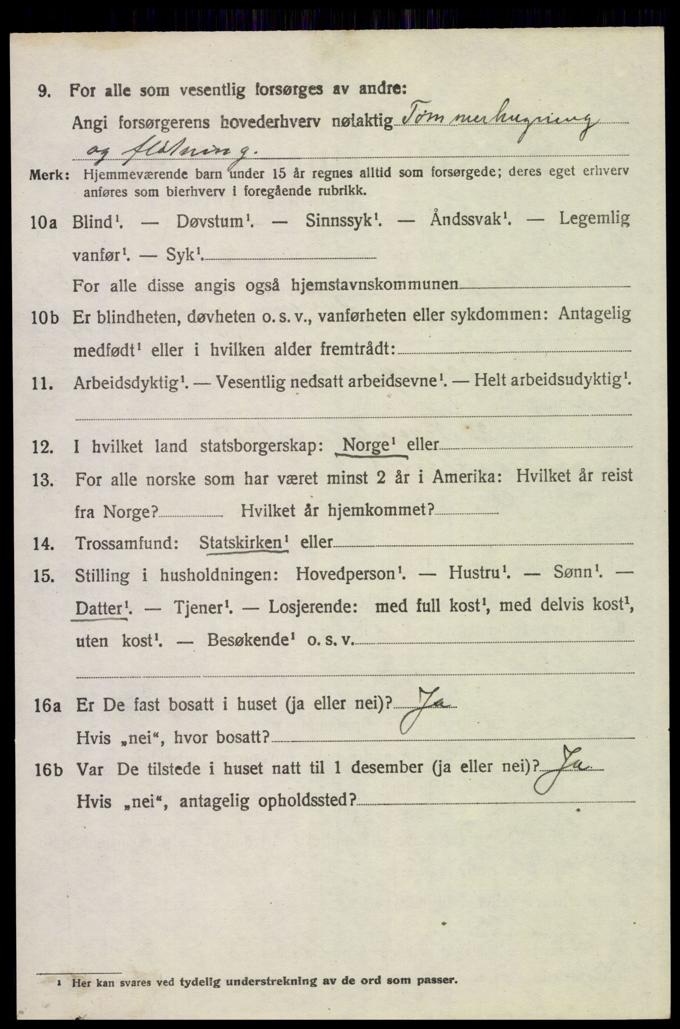 SAH, 1920 census for Trysil, 1920, p. 15520