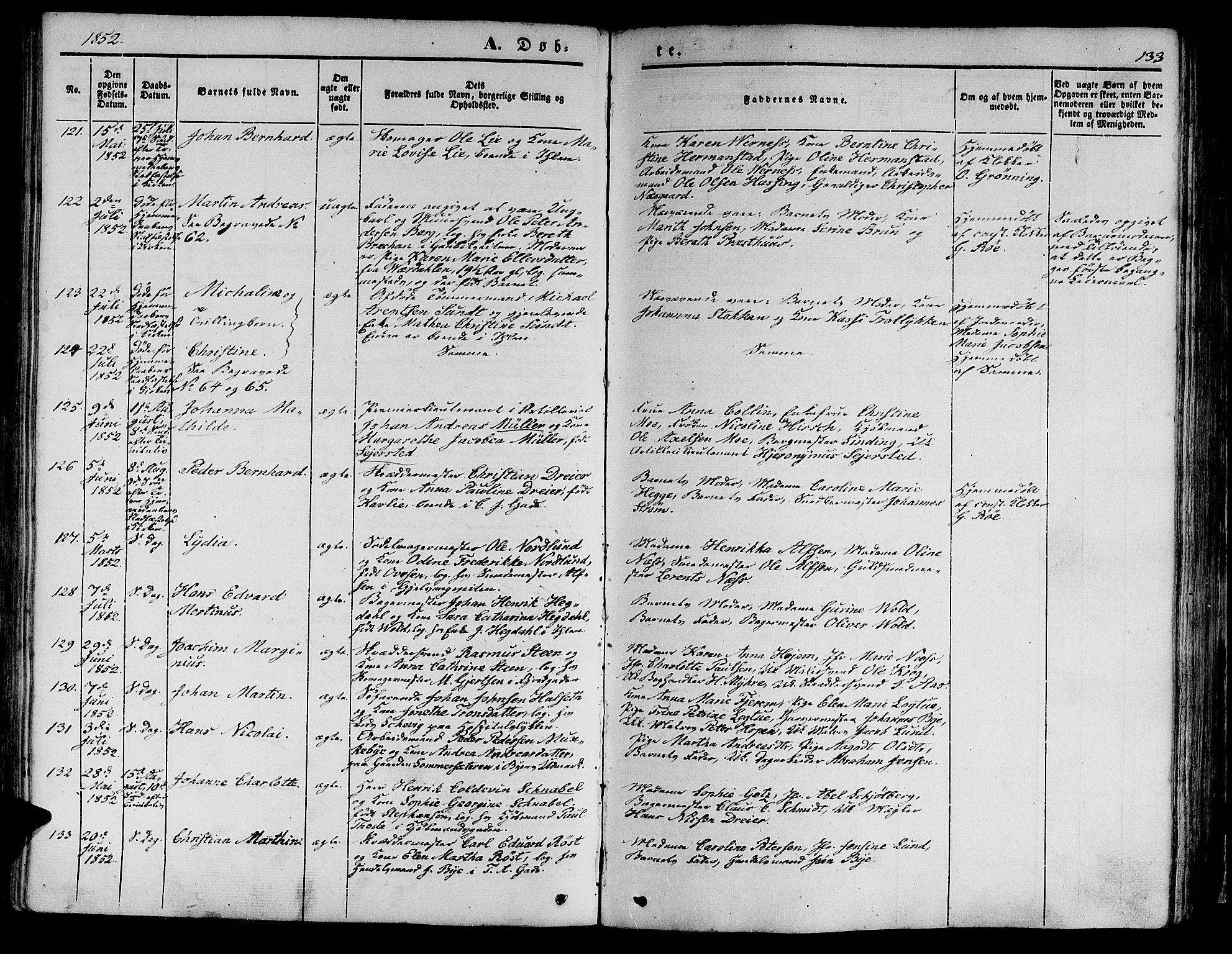 Ministerialprotokoller, klokkerbøker og fødselsregistre - Sør-Trøndelag, SAT/A-1456/602/L0137: Parish register (copy) no. 602C05, 1846-1856, p. 133