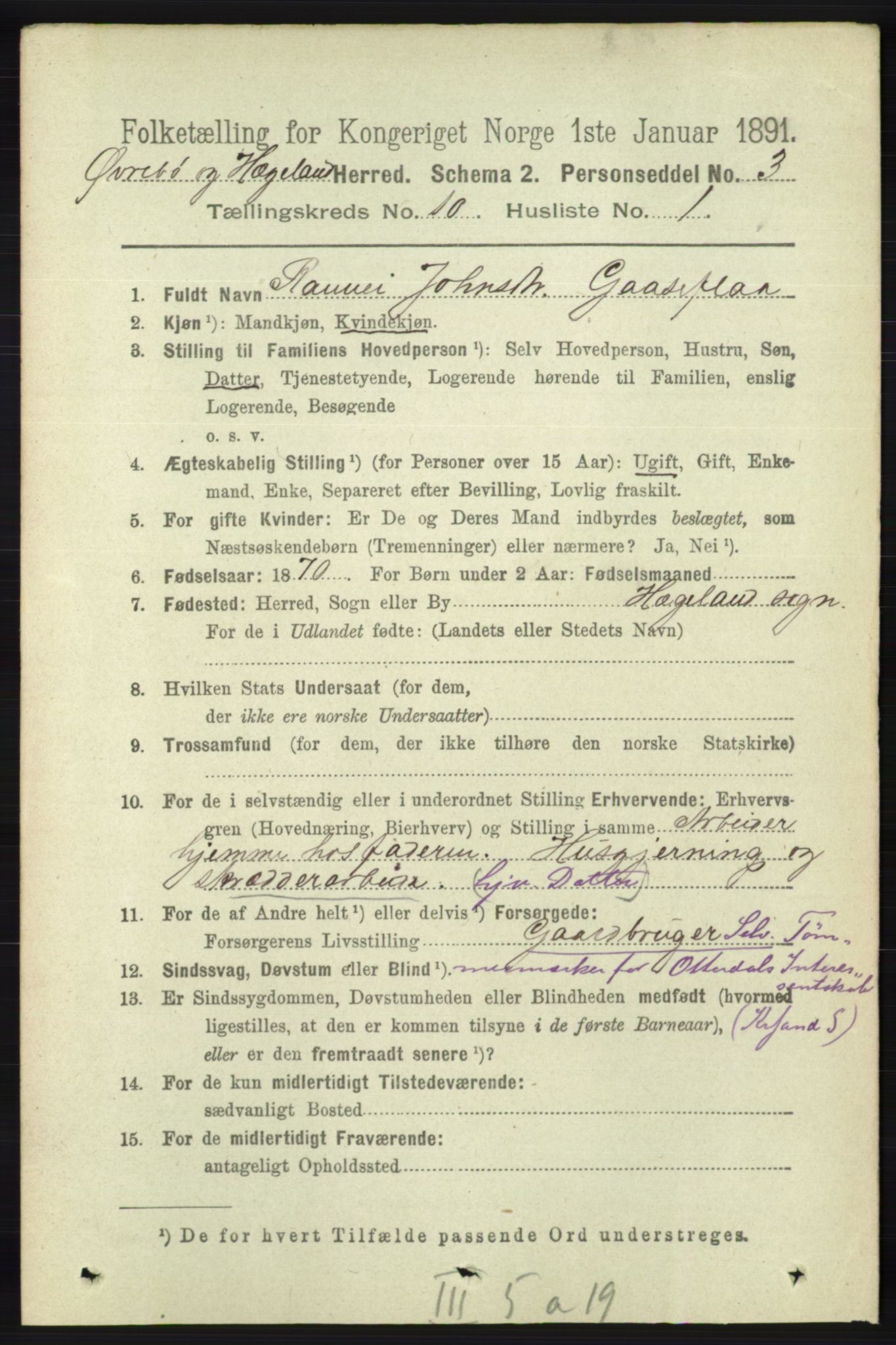 RA, 1891 census for 1016 Øvrebø og Hægeland, 1891, p. 2033