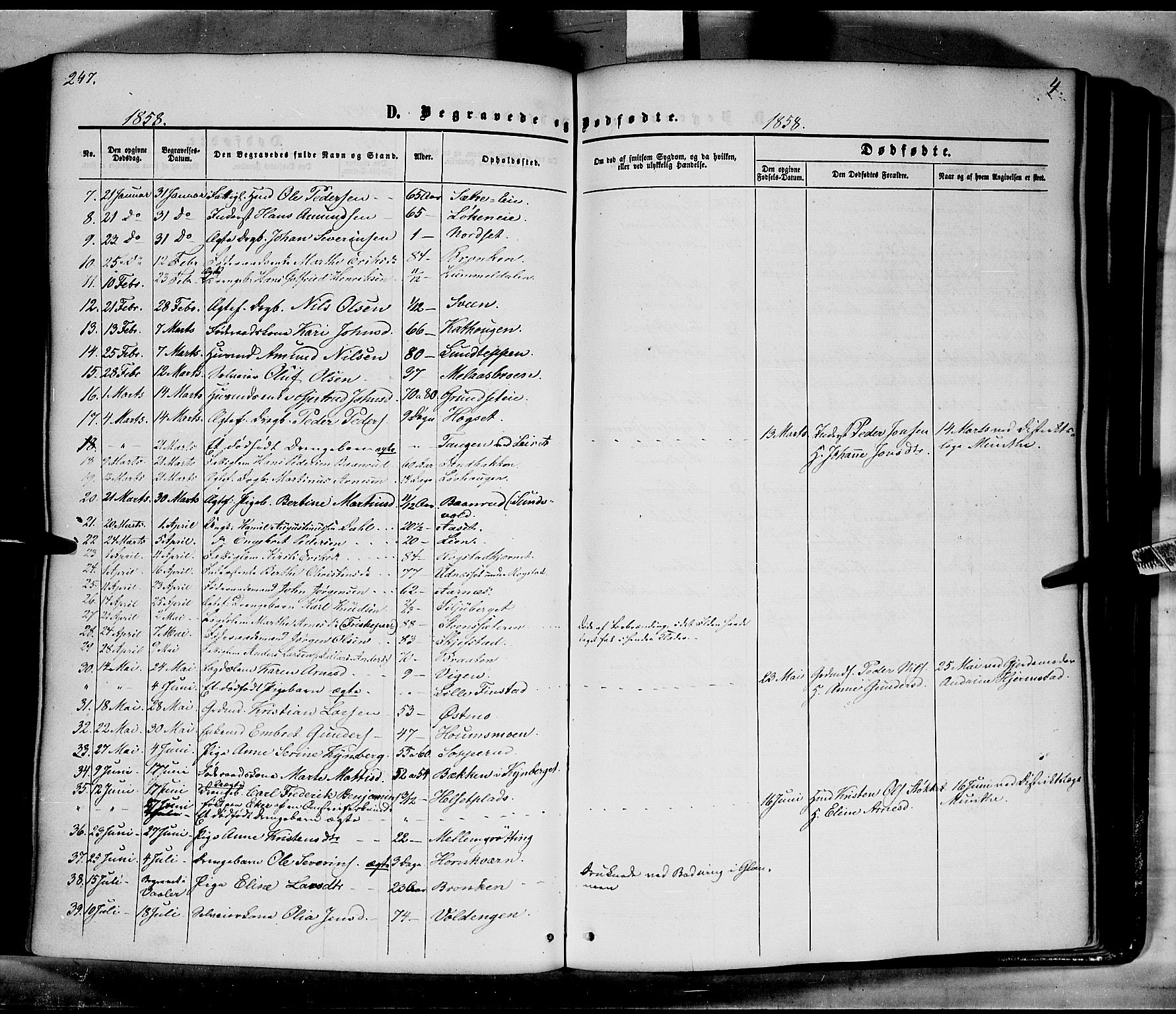 Elverum prestekontor, SAH/PREST-044/H/Ha/Haa/L0010: Parish register (official) no. 10, 1857-1868, p. 247