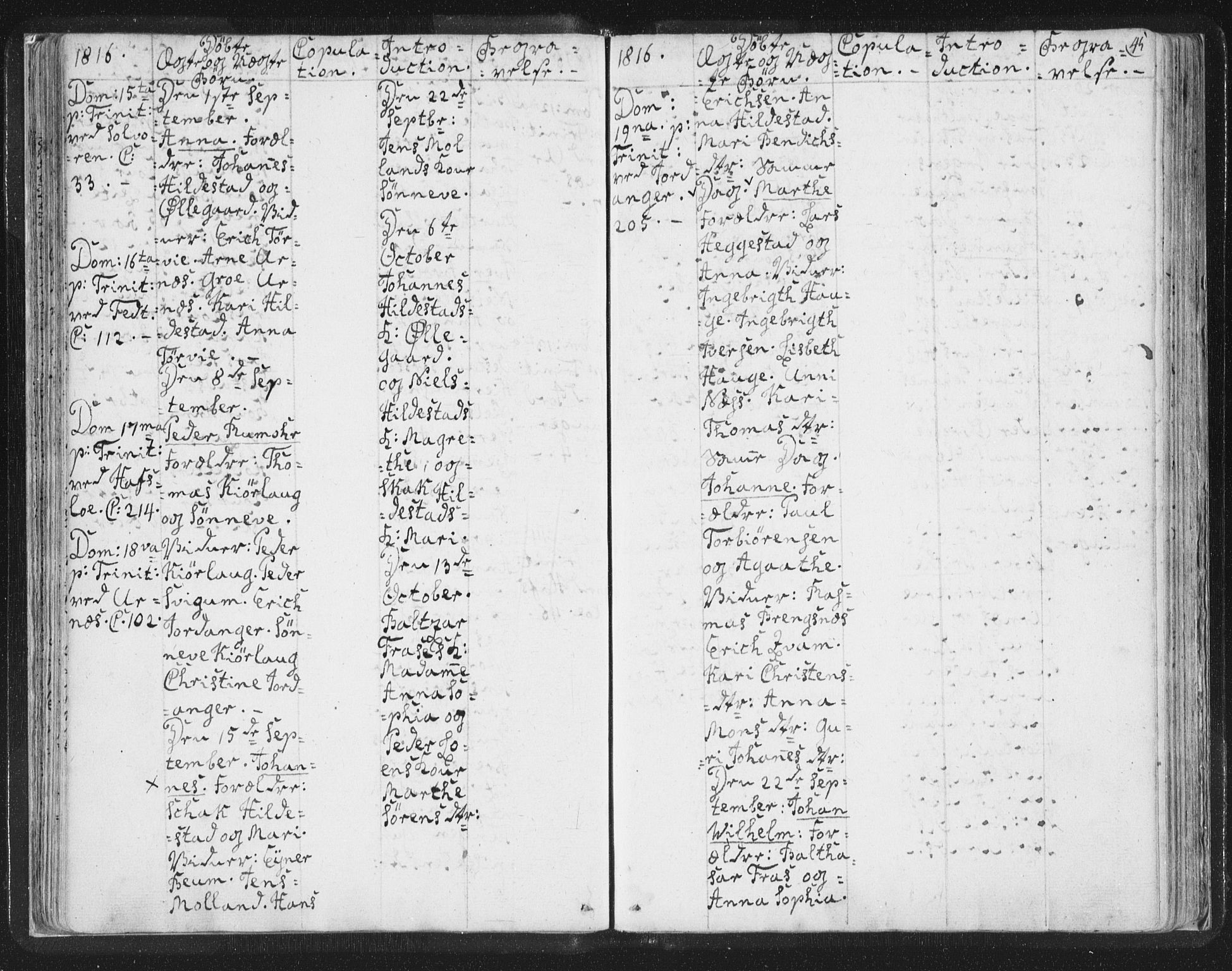 Hafslo sokneprestembete, AV/SAB-A-80301/H/Haa/Haaa/L0003: Parish register (official) no. A 3, 1807-1821, p. 45