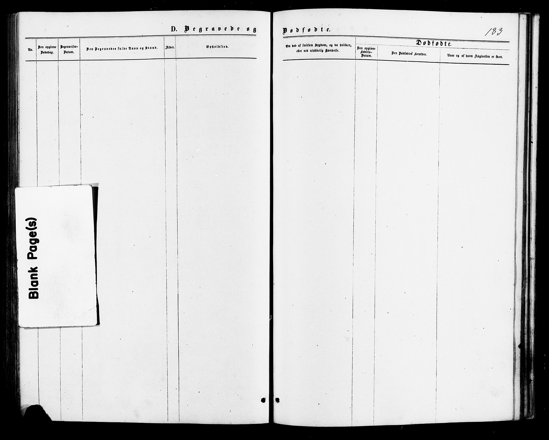 Lyngdal sokneprestkontor, AV/SAK-1111-0029/F/Fa/Faa/L0003: Parish register (official) no. A 3, 1871-1882, p. 183