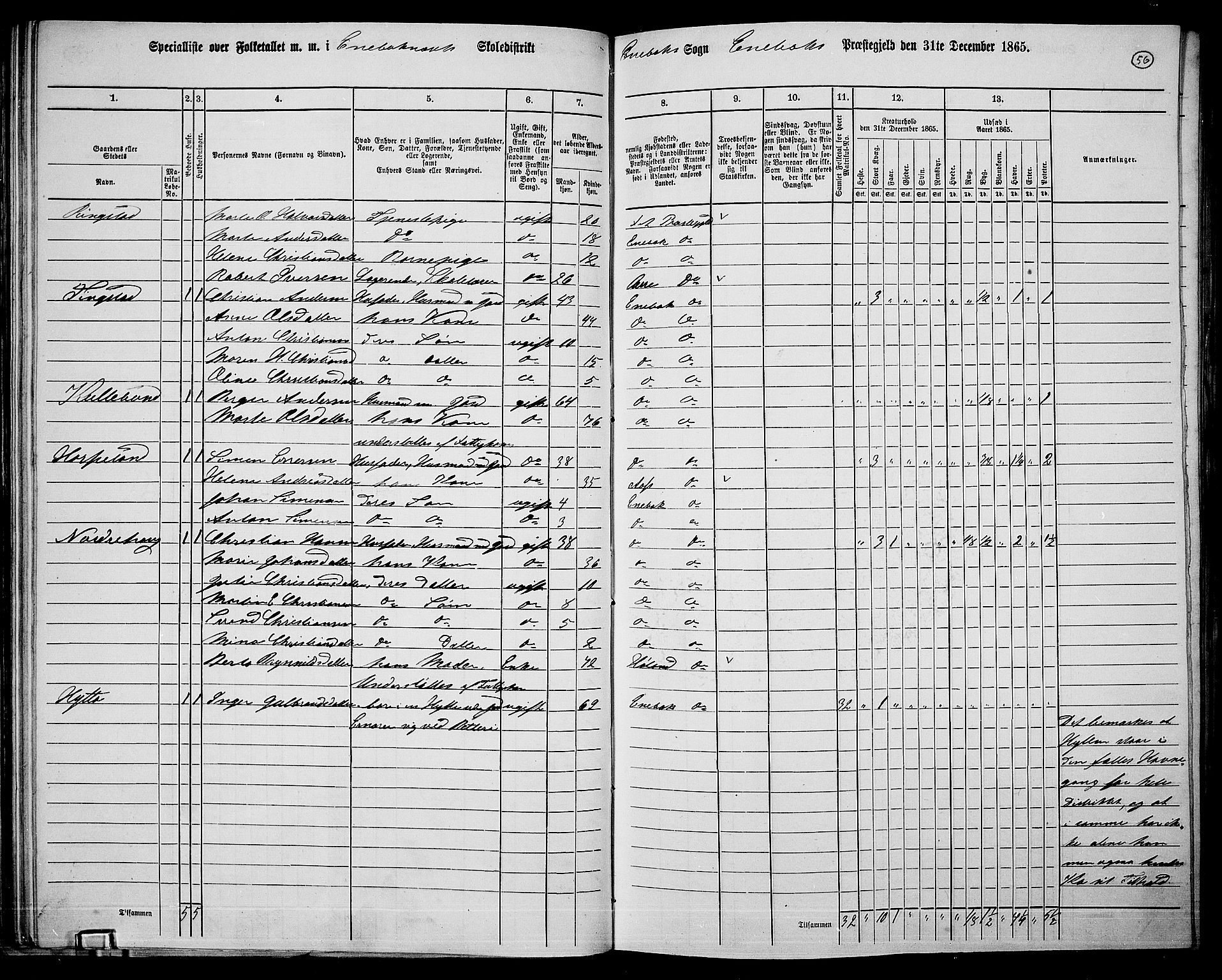 RA, 1865 census for Enebakk, 1865, p. 53