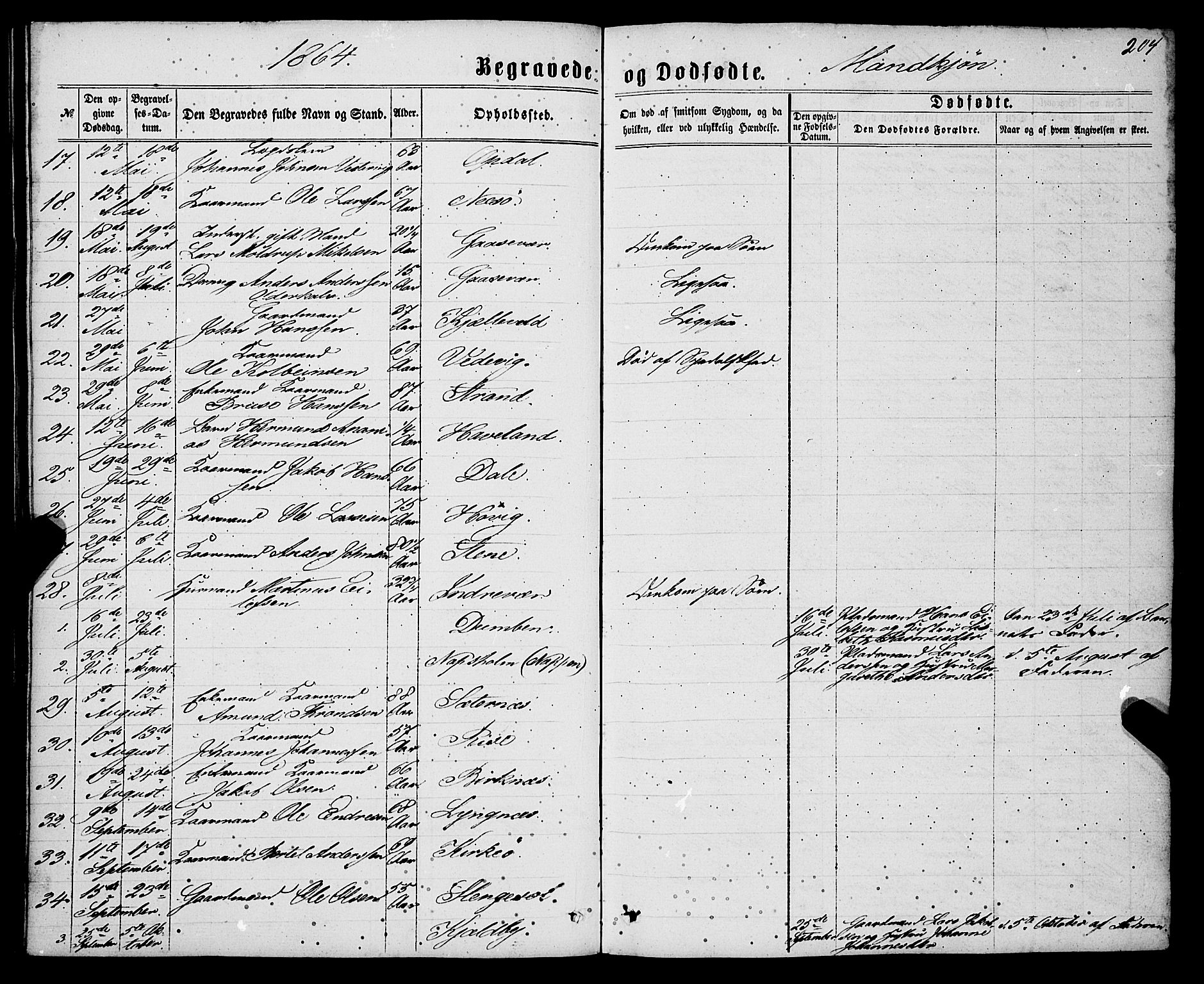 Gulen sokneprestembete, AV/SAB-A-80201/H/Haa/Haaa/L0022: Parish register (official) no. A 22, 1859-1869, p. 204