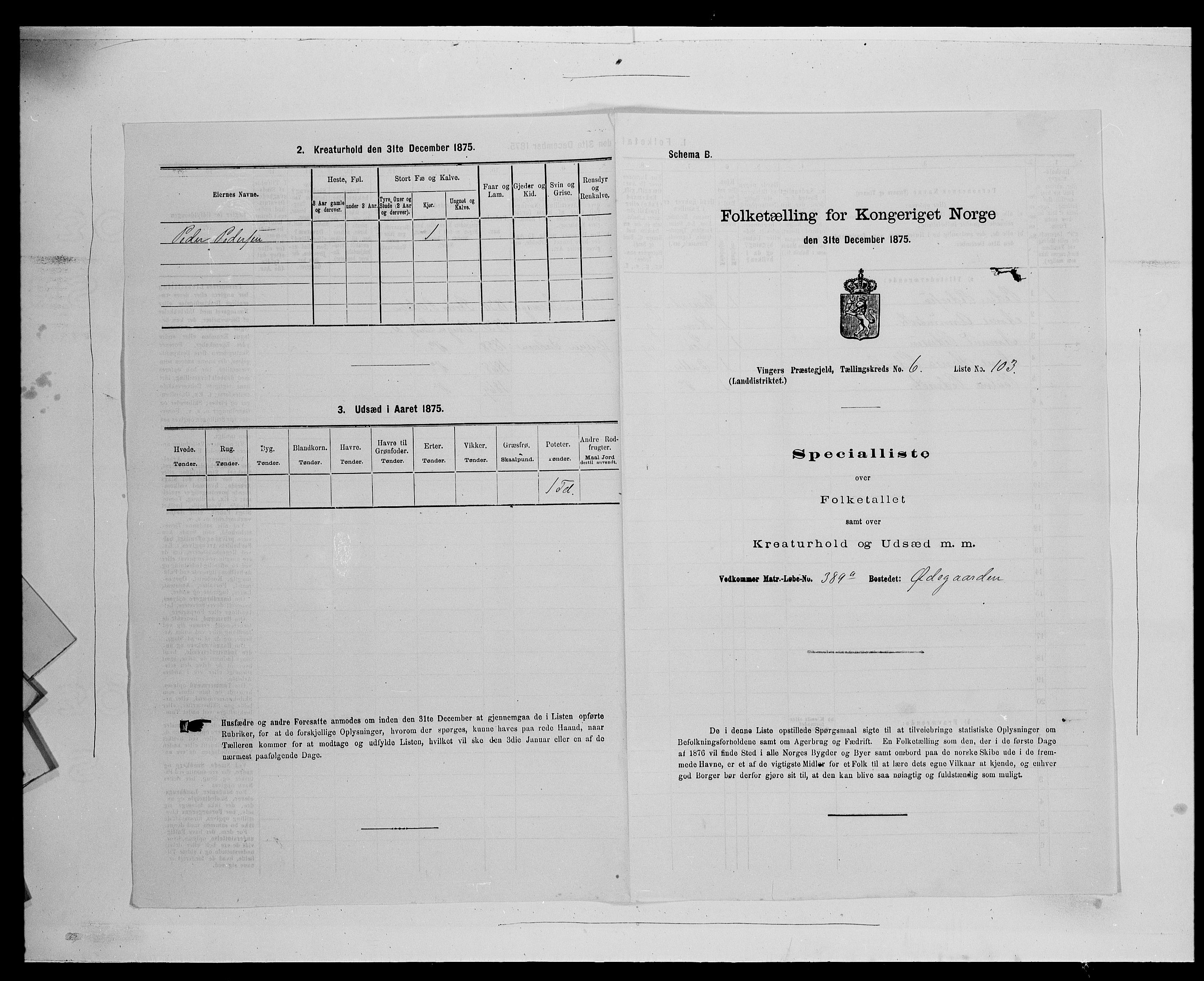 SAH, 1875 census for 0421L Vinger/Vinger og Austmarka, 1875, p. 1148