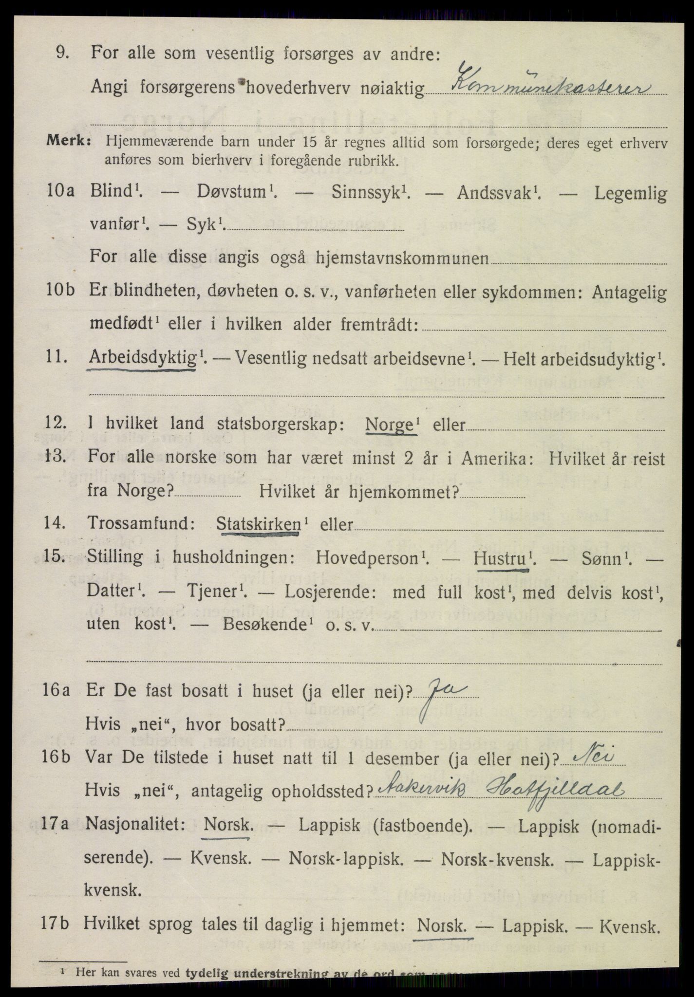 SAT, 1920 census for Hattfjelldal, 1920, p. 2893