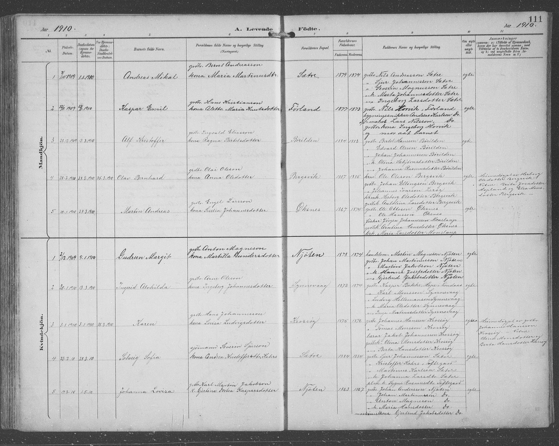 Lindås Sokneprestembete, SAB/A-76701/H/Hab: Parish register (copy) no. C 4, 1894-1910, p. 111