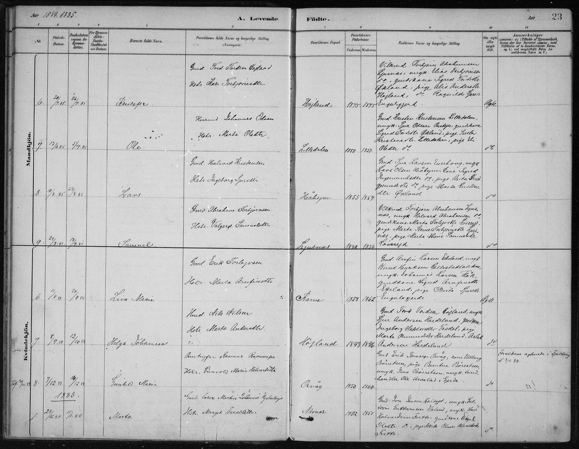 Etne sokneprestembete, AV/SAB-A-75001/H/Haa: Parish register (official) no. D  1, 1879-1919, p. 23