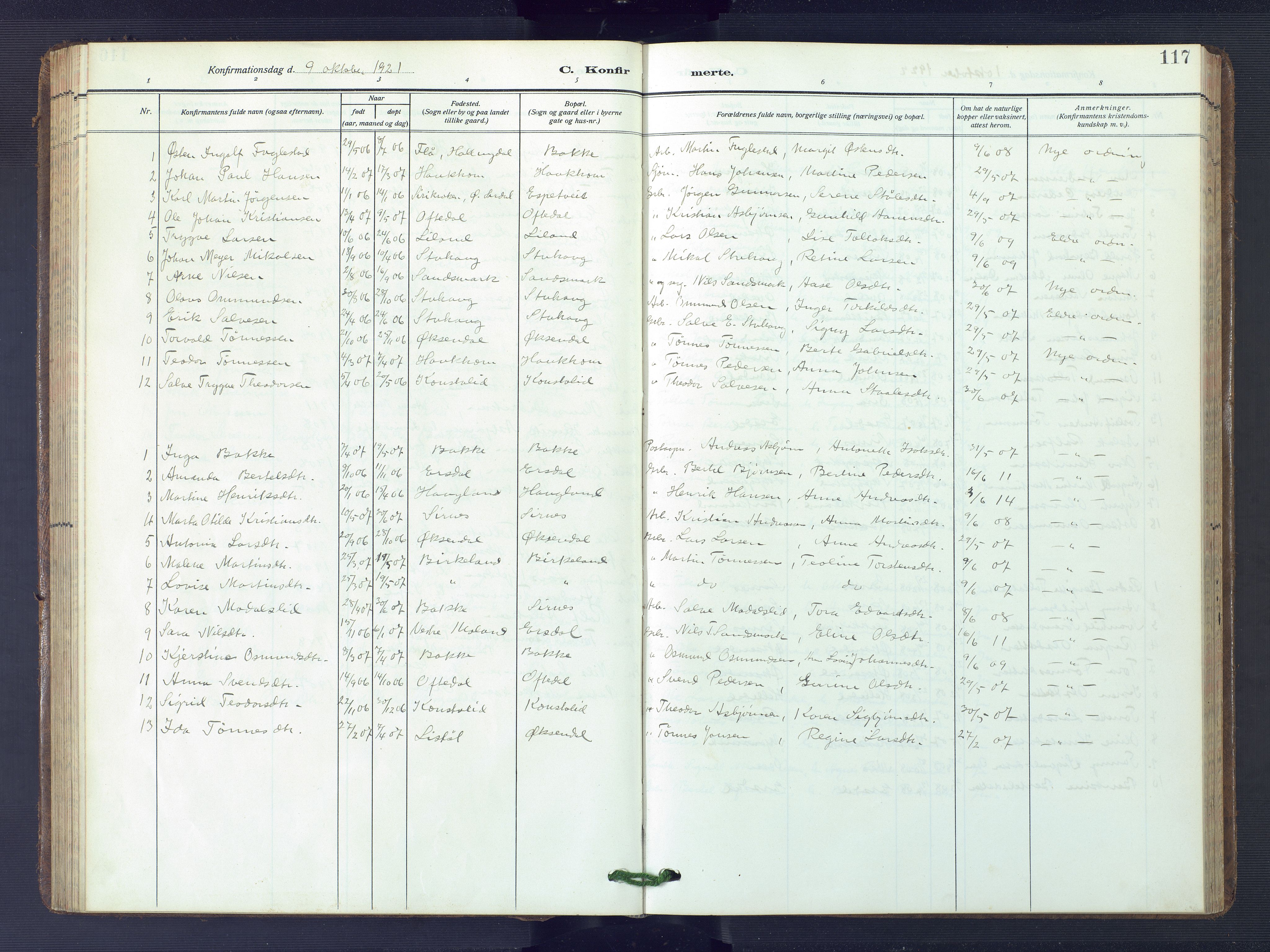 Bakke sokneprestkontor, SAK/1111-0002/F/Fb/Fba/L0004: Parish register (copy) no. B 4, 1911-1946, p. 117