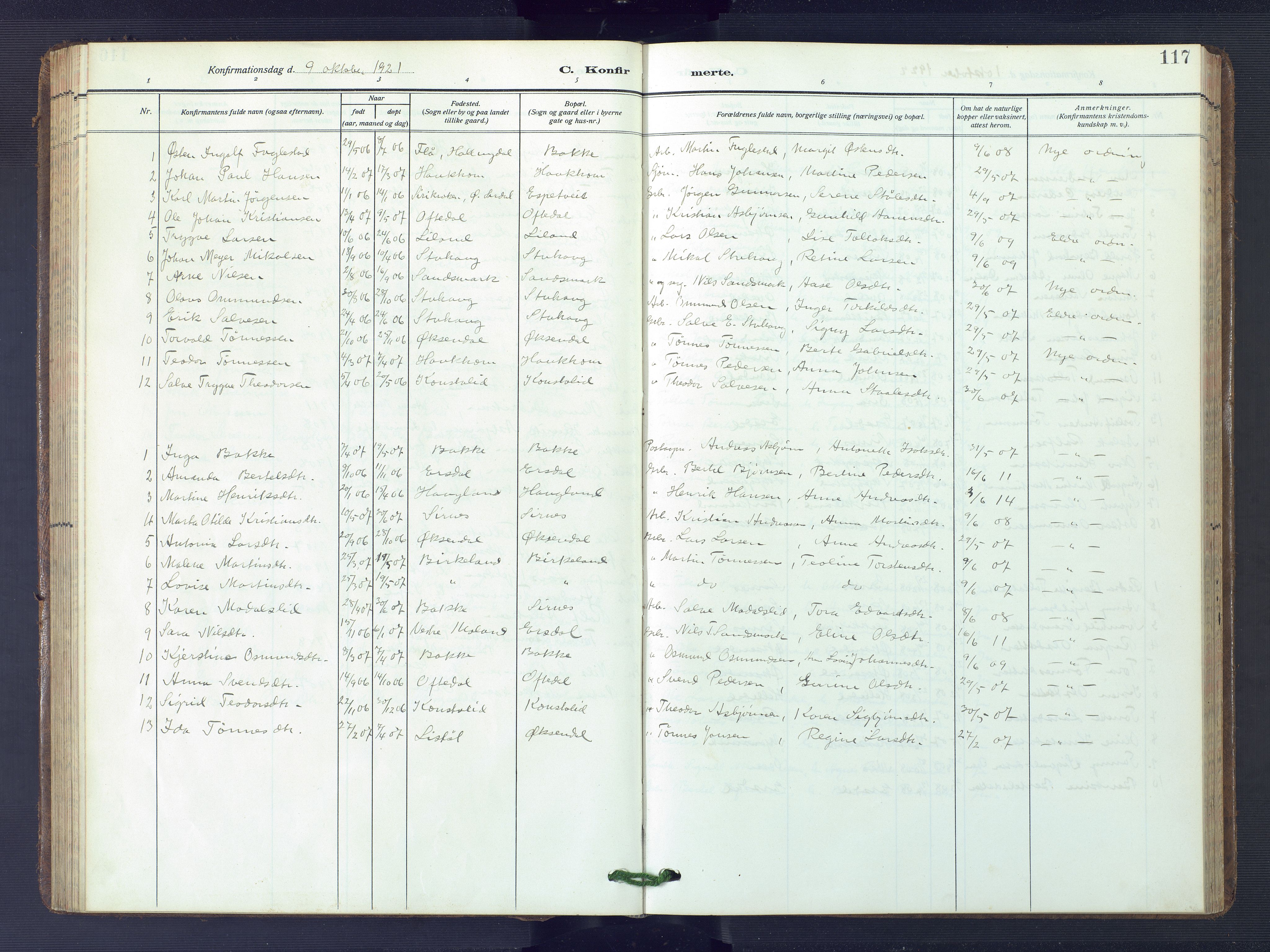 Bakke sokneprestkontor, AV/SAK-1111-0002/F/Fb/Fba/L0004: Parish register (copy) no. B 4, 1911-1946, p. 117